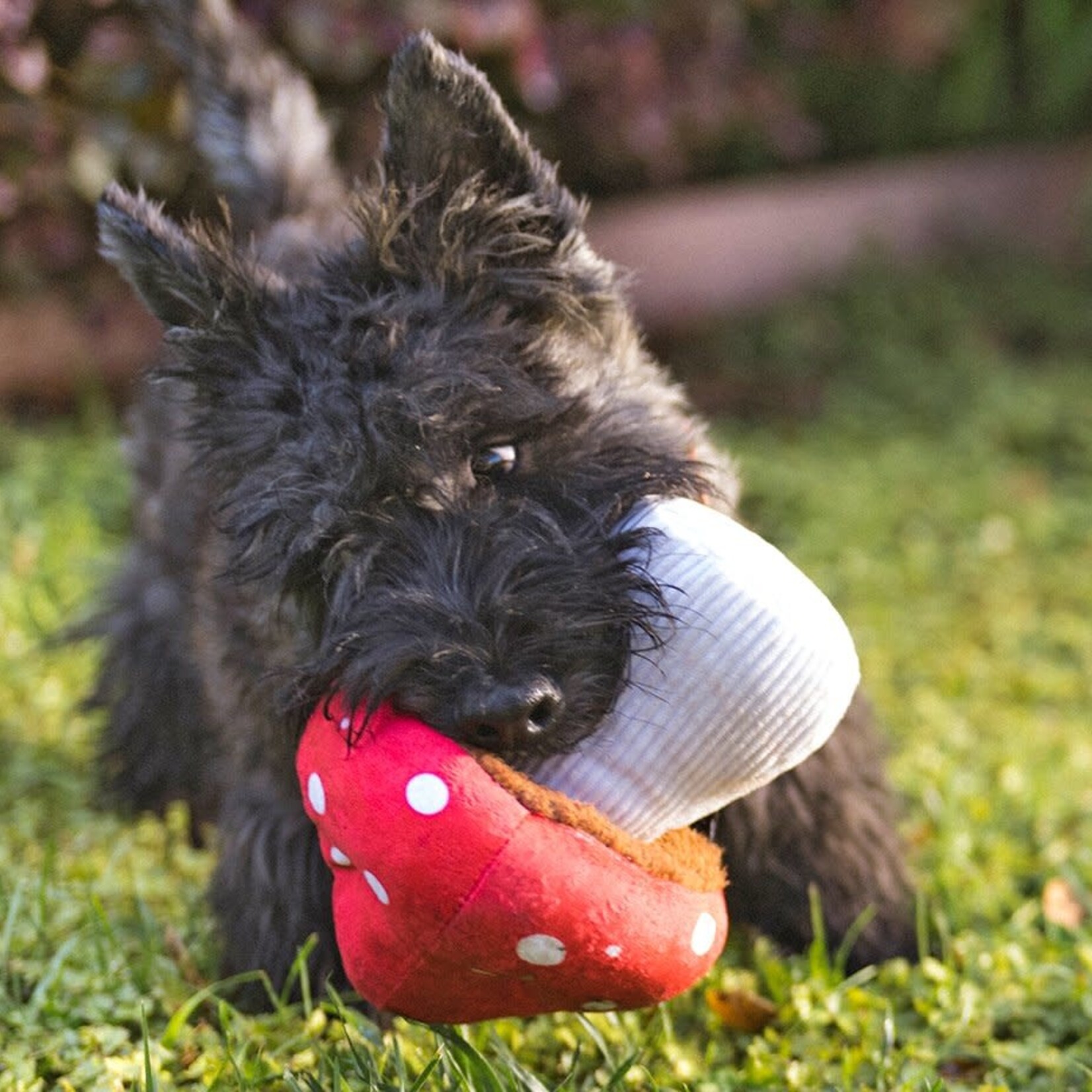 Pet PLAY - Blooming Buddies Collection - Mutt Mushroom