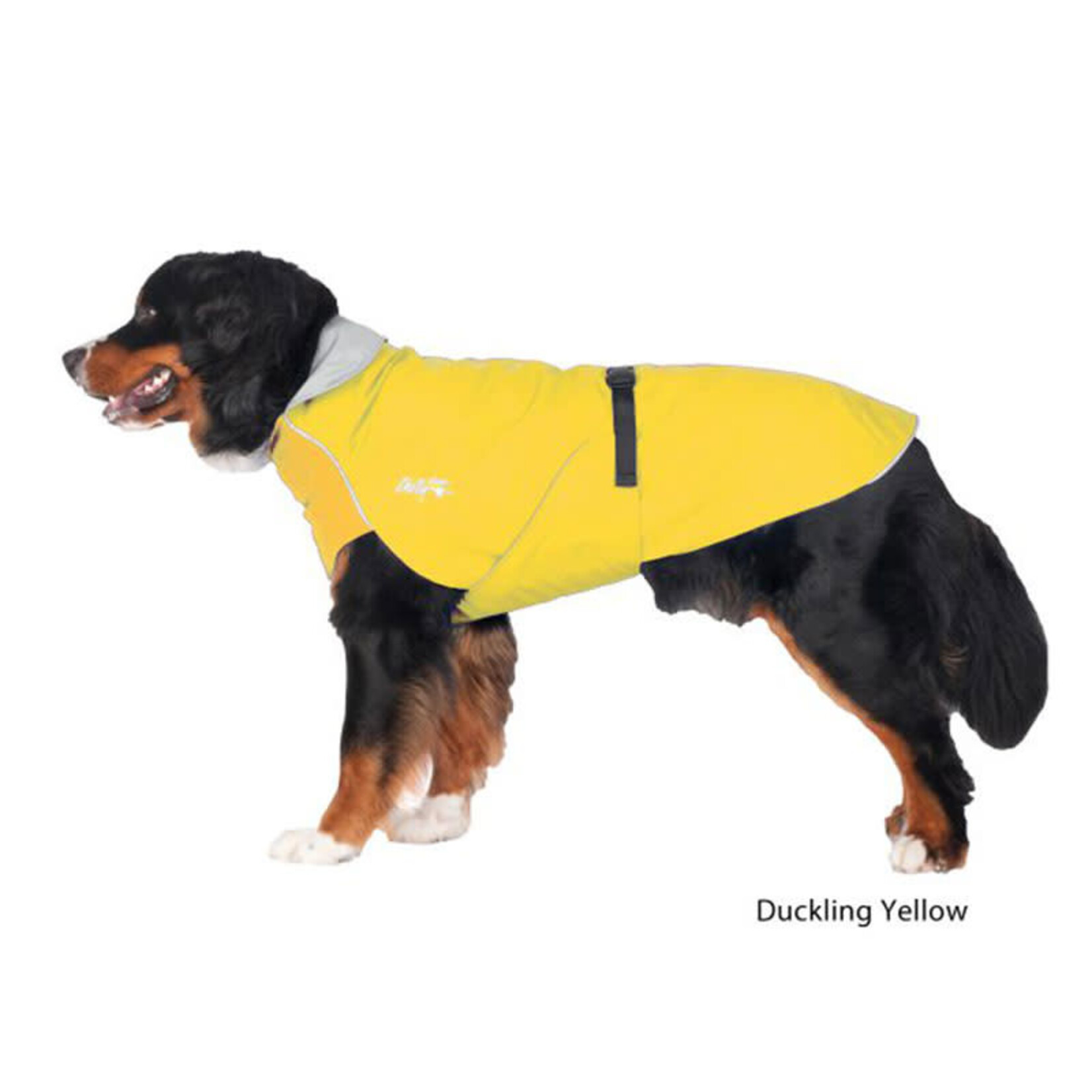 Chilly Dogs Chilly Dogs - Harbour Slicker - Jaune Poussin