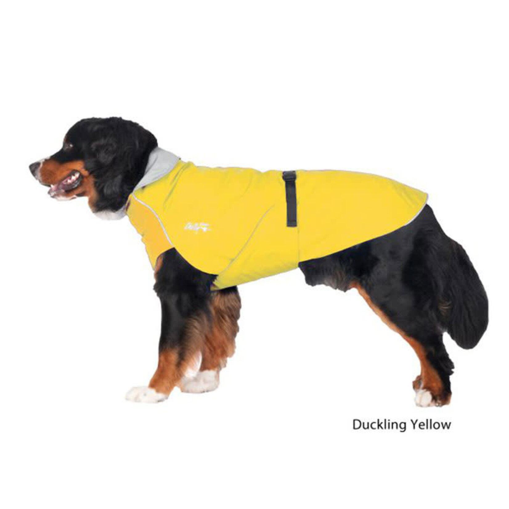 Chilly Dogs Chilly Dogs - Harbour Slicker - Jaune