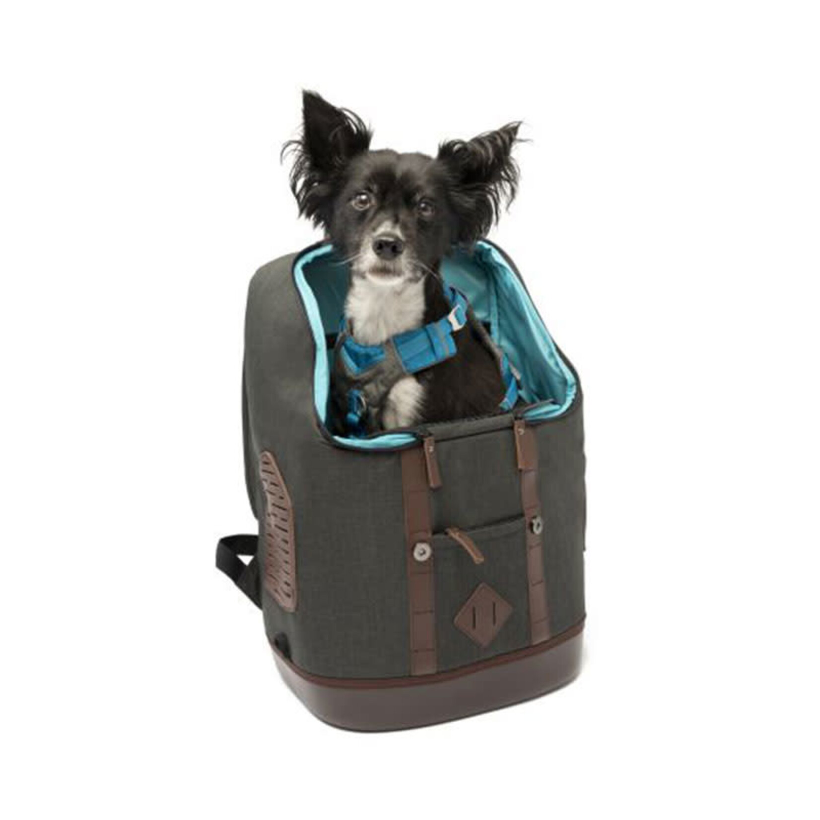 Kurgo - Sac à dos K9