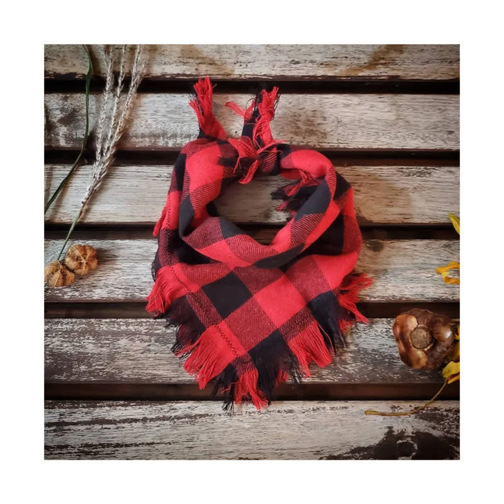 Mr. Bizous - Bandana buffalo plaid