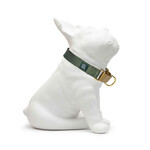 Knick Knack Paddywhack Knick Knack Paddywhack - Martingale Collar - Gold & Olive - Small (11-14")