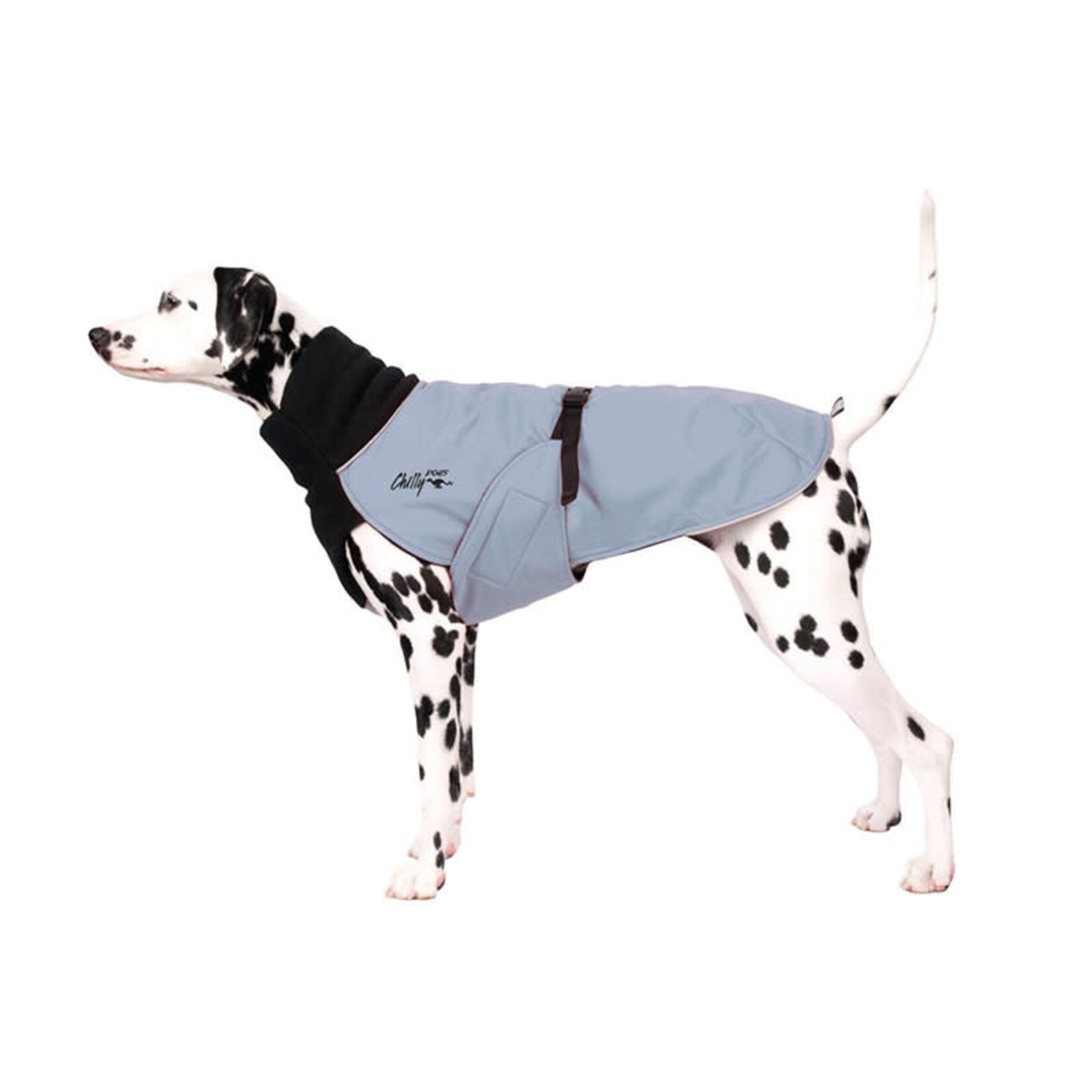 Chilly Dogs Chilly Dogs - Manteau Great White North - Long et maigre - Gris