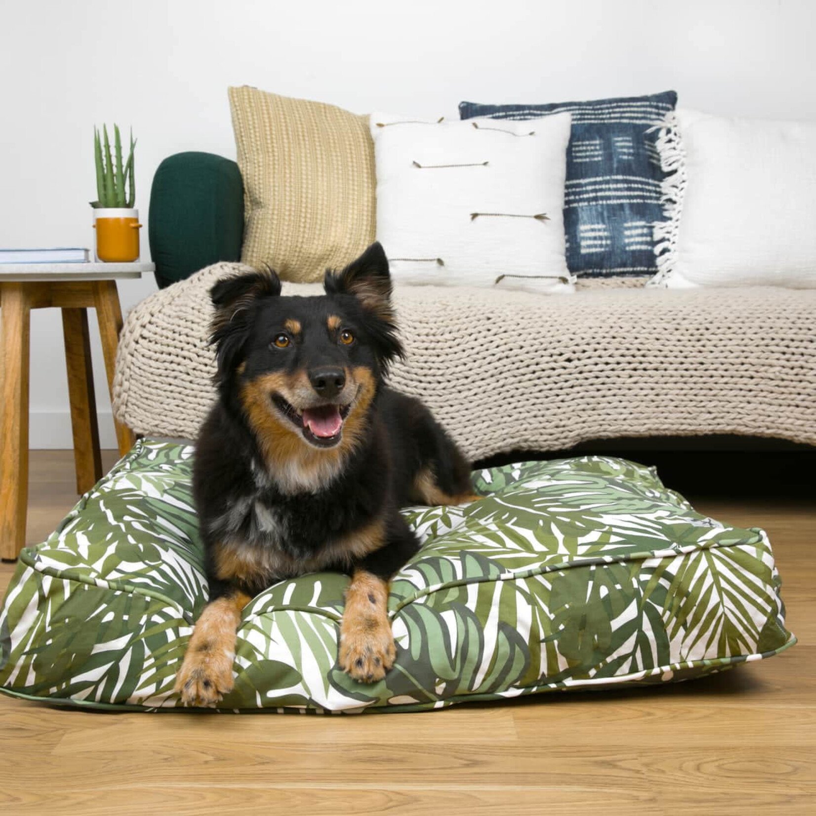Molly Mutt - Dog Bed Cover - Carefree