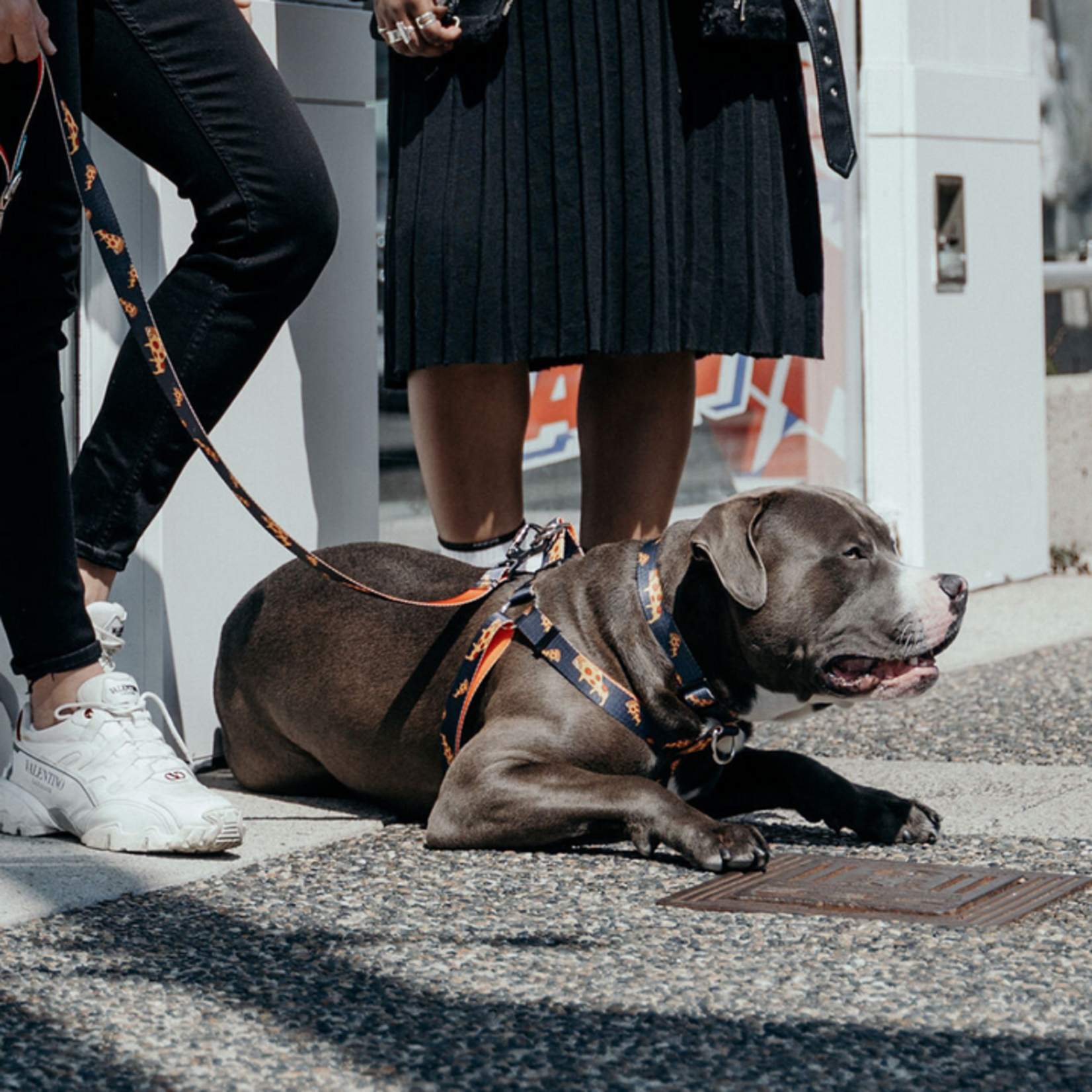 WOOF Concept WOOF Concept - Dog Collar - Brooklyn - Large