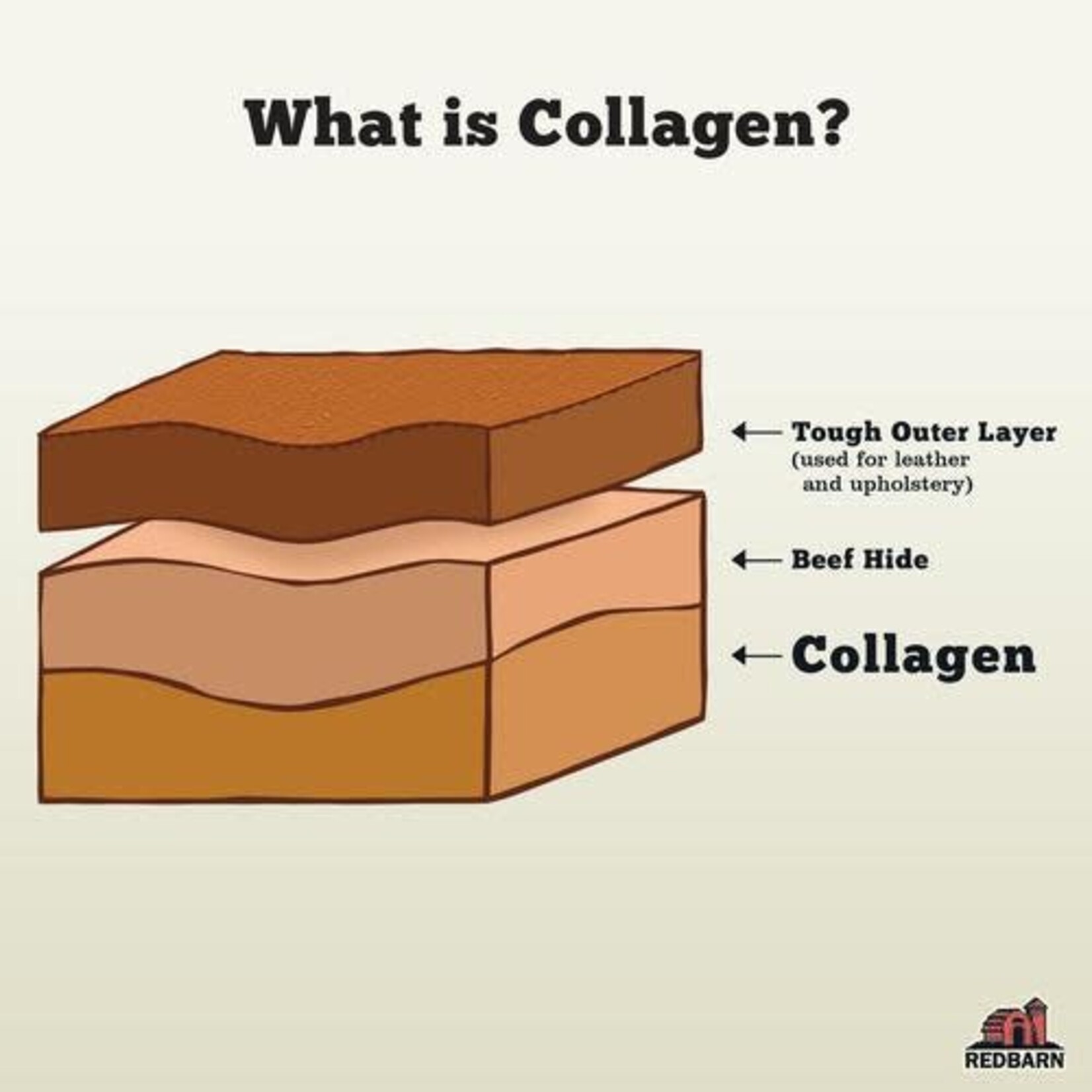 Redbarn - Bâton Collagen - XL