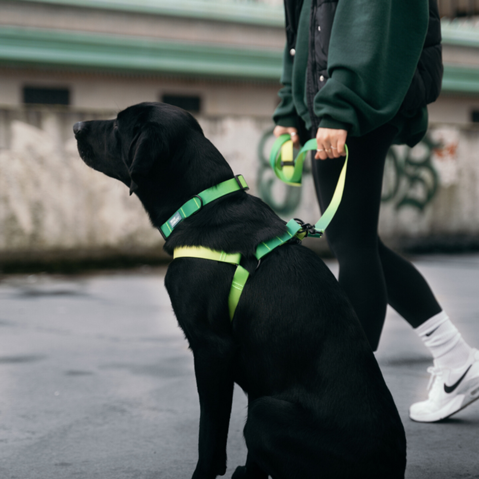 WOOF Concept WOOF Concept - Aqua Collection - Step-In Harness - Lime Margarita