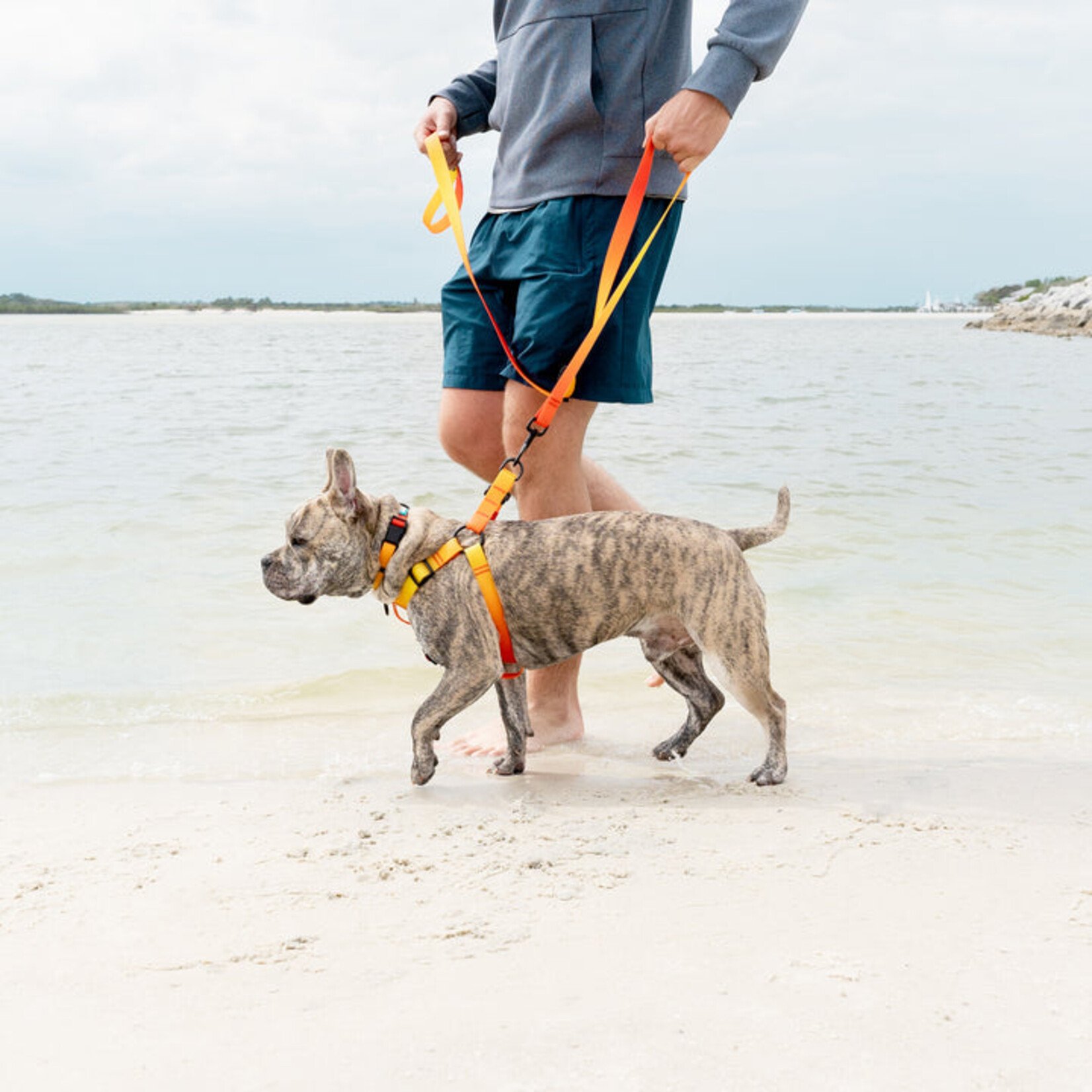 WOOF Concept WOOF Concept - Aqua Collection - Leash - Sunset