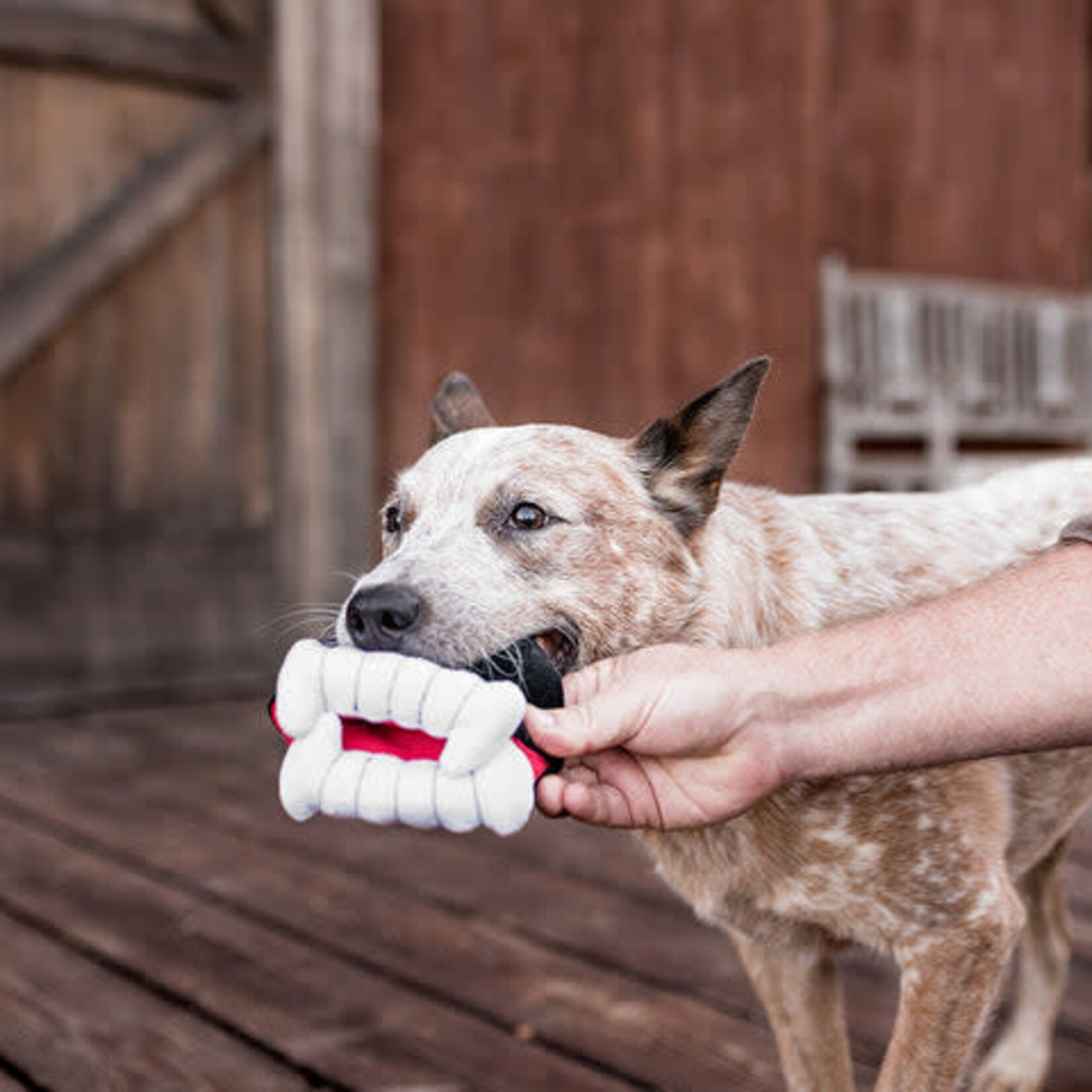 Pet PLAY - Halloween Howling Haunts - BarkysBite Teeth