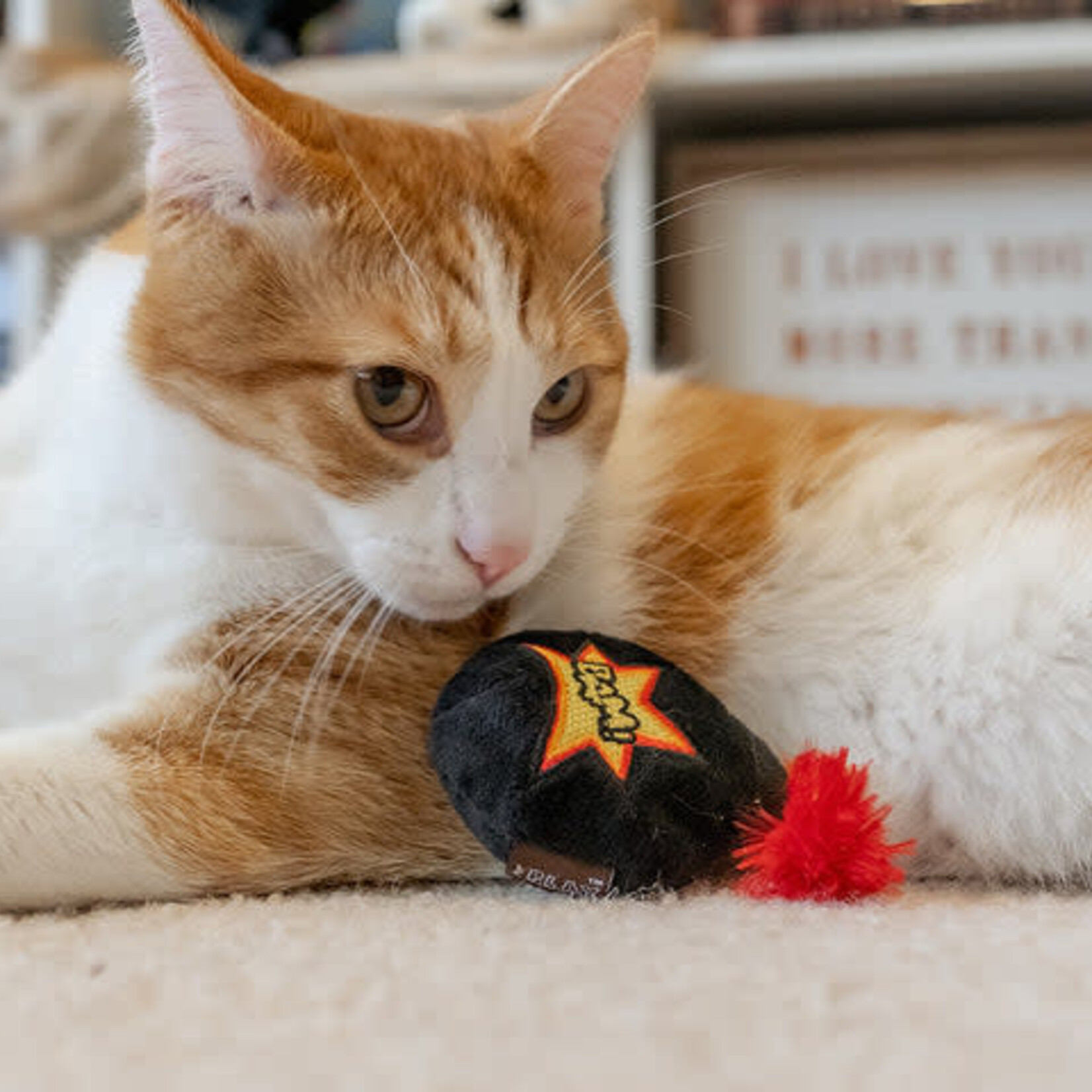 Pet P.L.A.Y - Feline Frenzy Plush Catnip - Halloween Kitty Boom