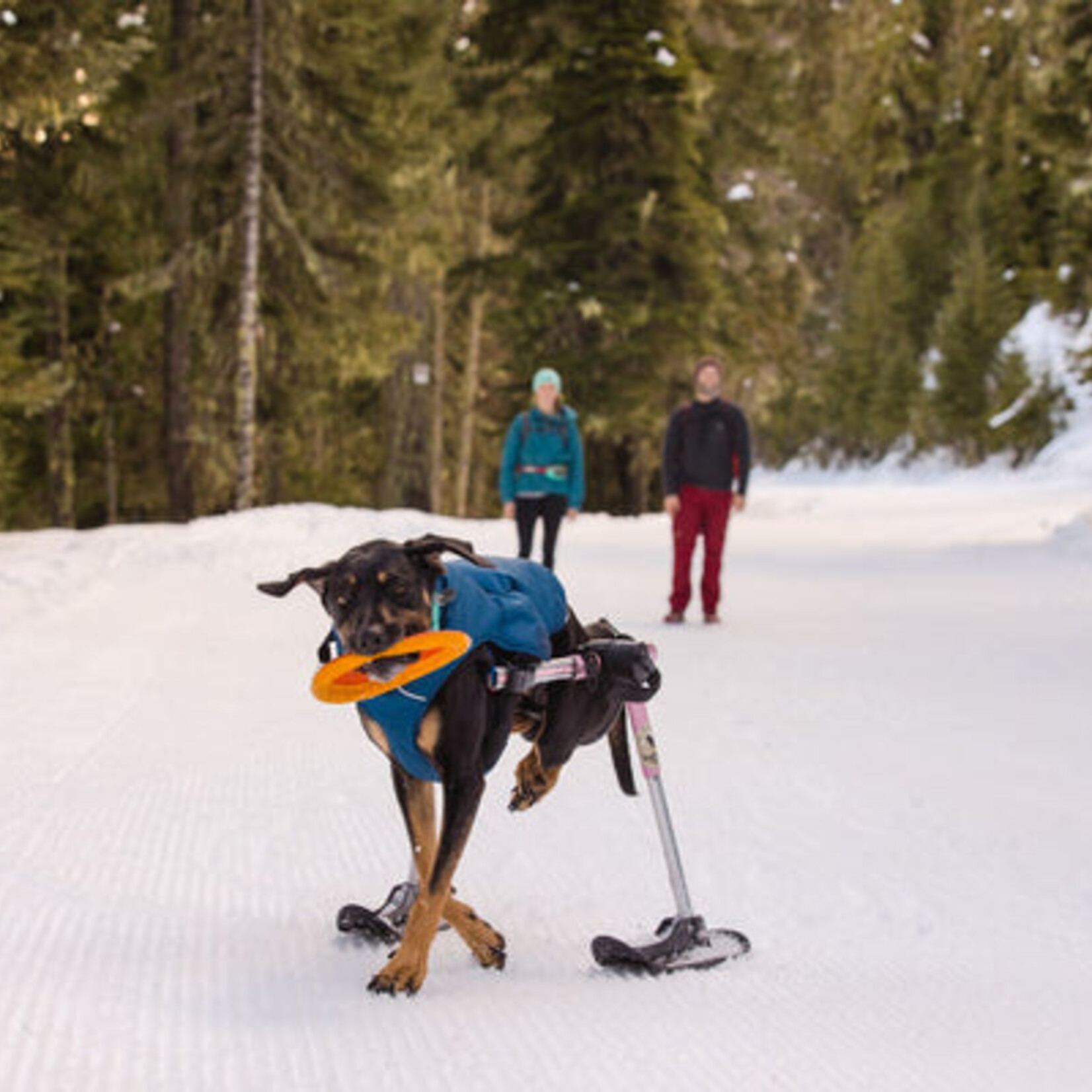 Ruffwear Ruffwear - Hydro Plane - Sarcelle Aurore