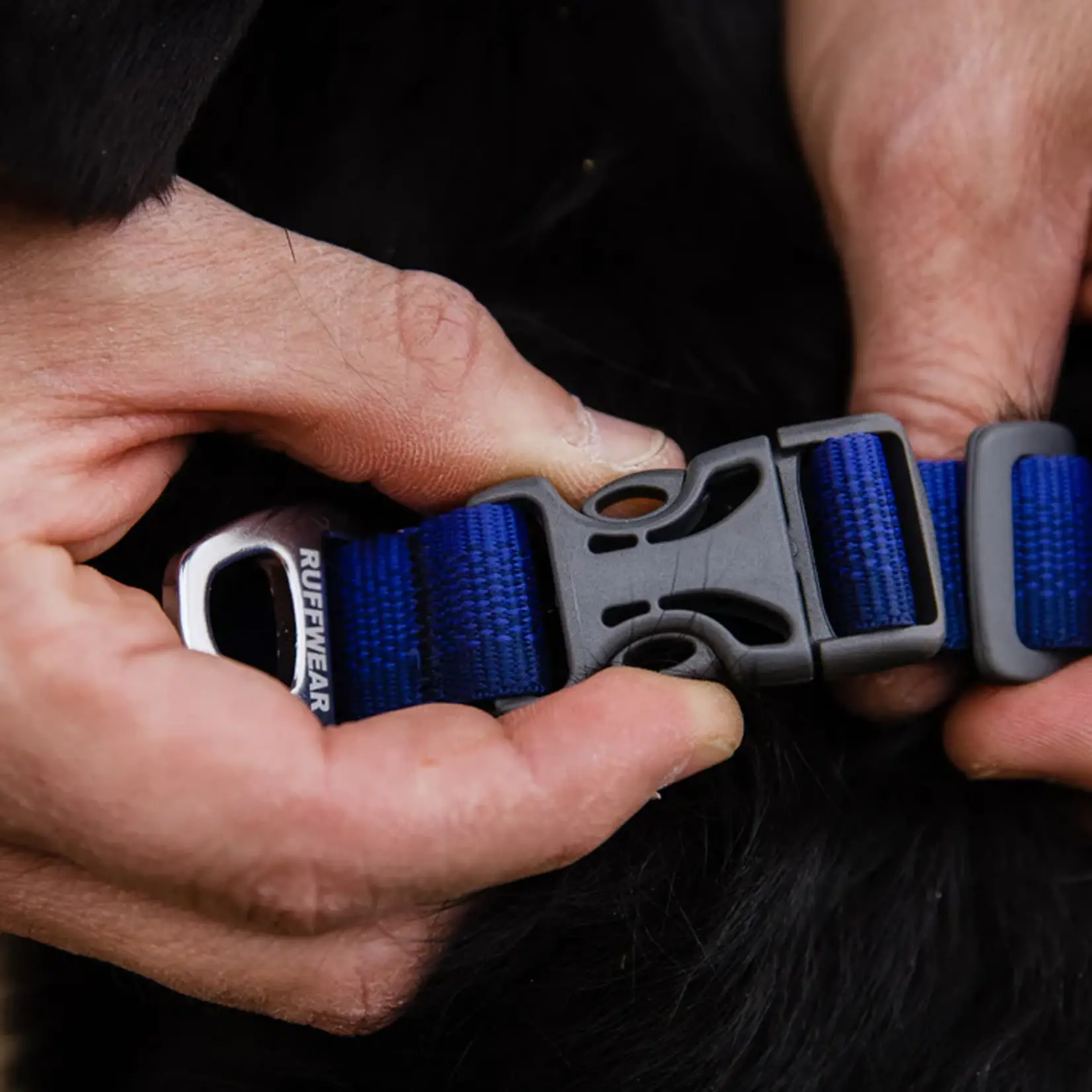 Ruffwear Ruffwear - Collier Front Range - Bleu - 11"-14"