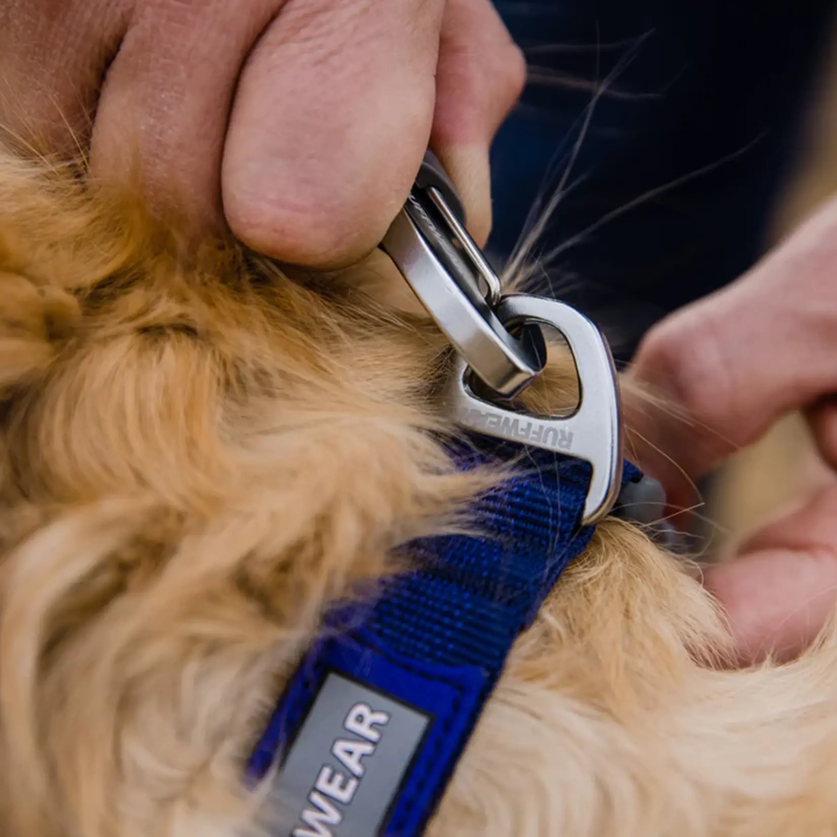 Ruffwear Ruffwear - Collier Front Range - Bleu - 11"-14"