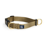 Knick Knack Paddywhack Knick Knack Paddywhack - Buckle Collar - Gold