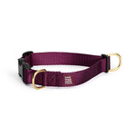 Knick Knack Paddywhack Knick Knack Paddywhack - Buckle Collar - Purple