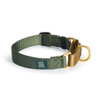 Knick Knack Paddywhack Knick Knack Paddywhack - Martingale Collar - Gold & Olive - Small (11-14")