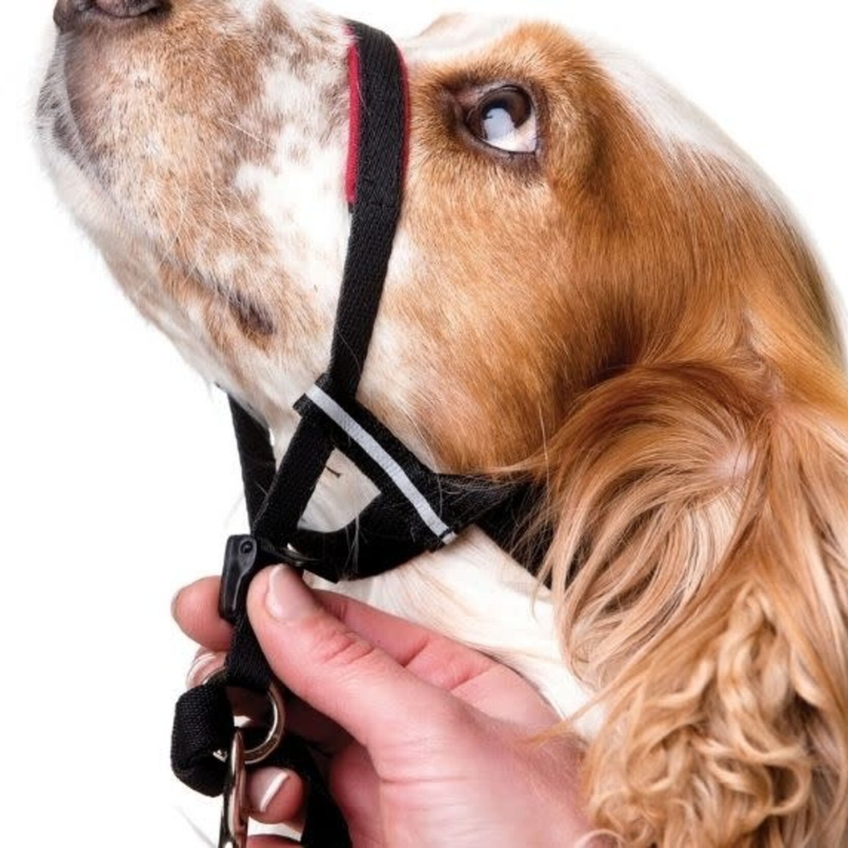 Halti - Optifit Headcollar