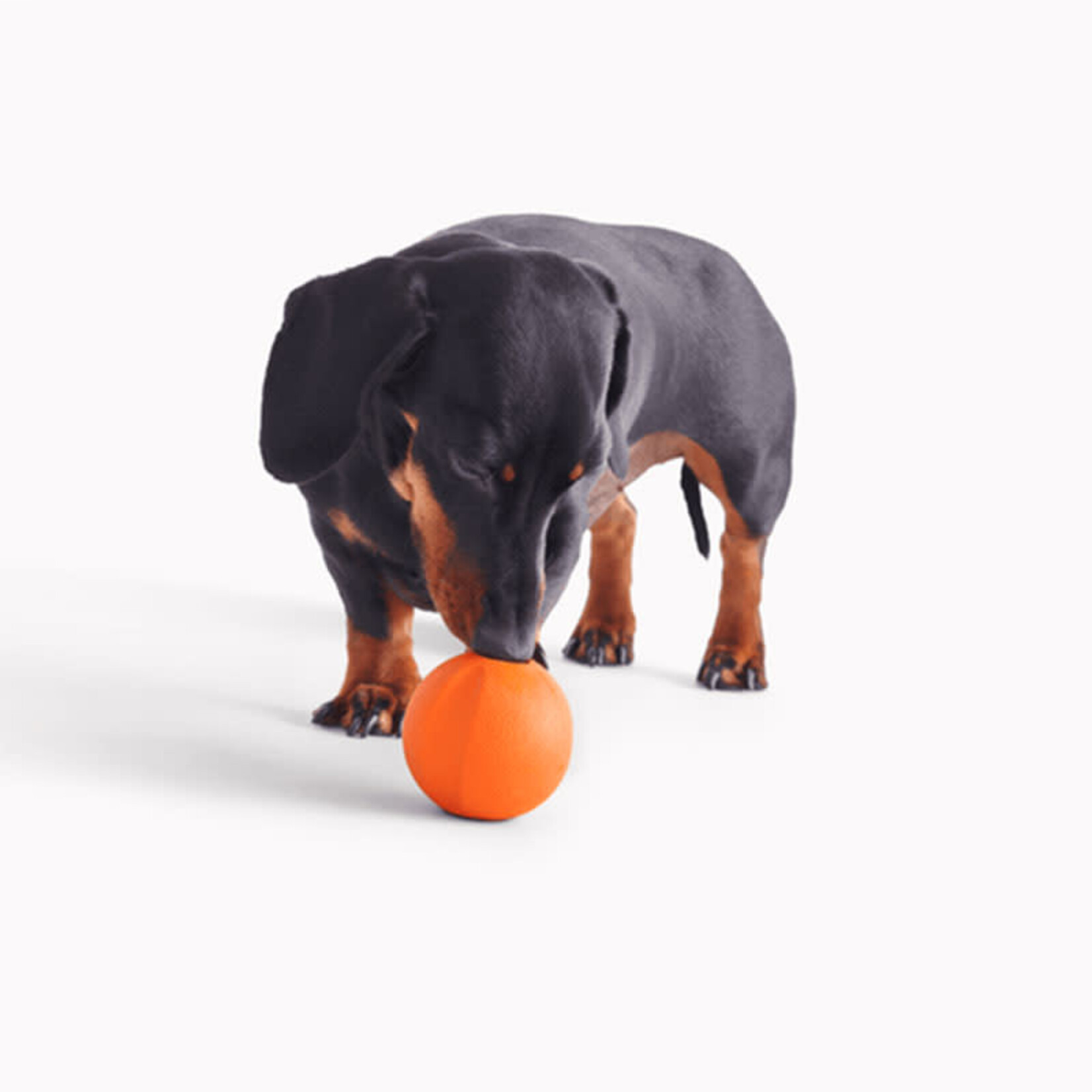 Beco Beco Pets - Ball - Orange