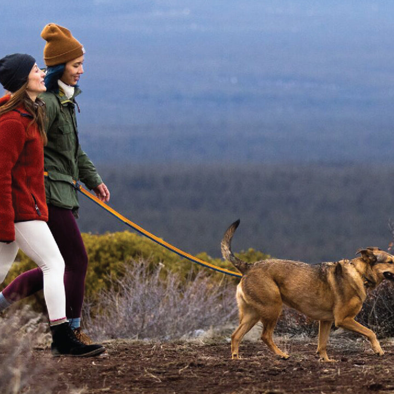 Ruffwear Ruffwear - Laisse Roamer - Neige Jaune