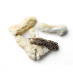 Dehydrated Rabbit Foot