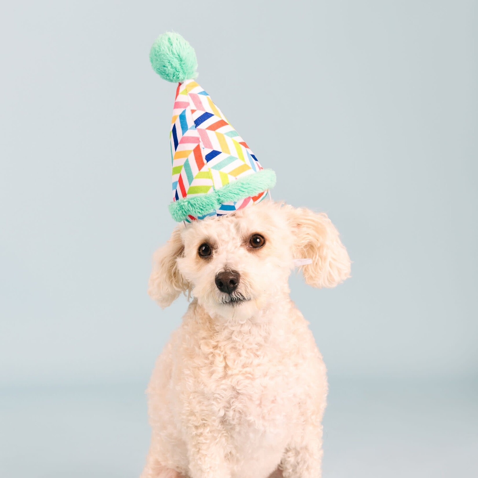 PetShop - Hourra  pour un Caniversaire
