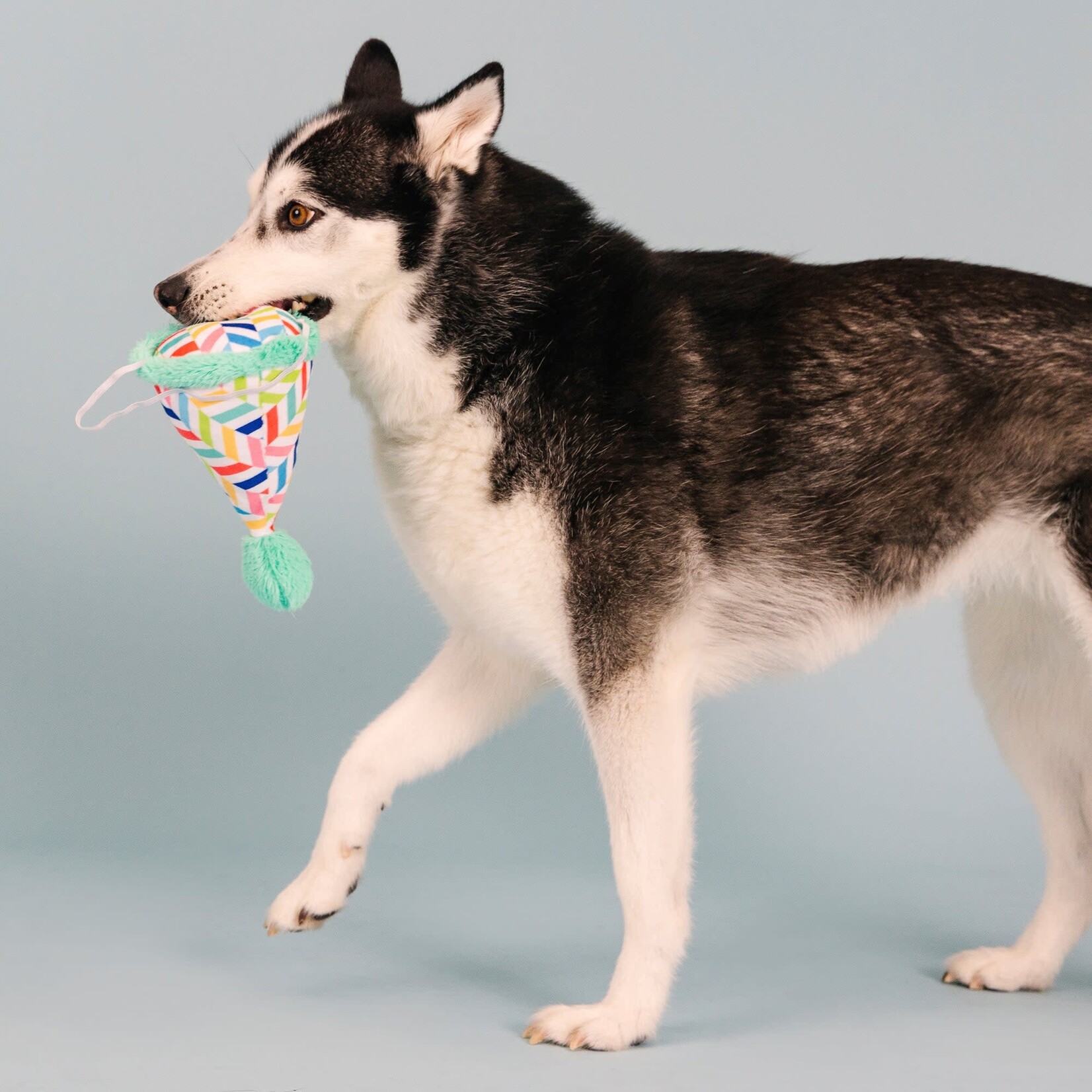 Fringe Studios - PetShop - Cheers for a Bark Day