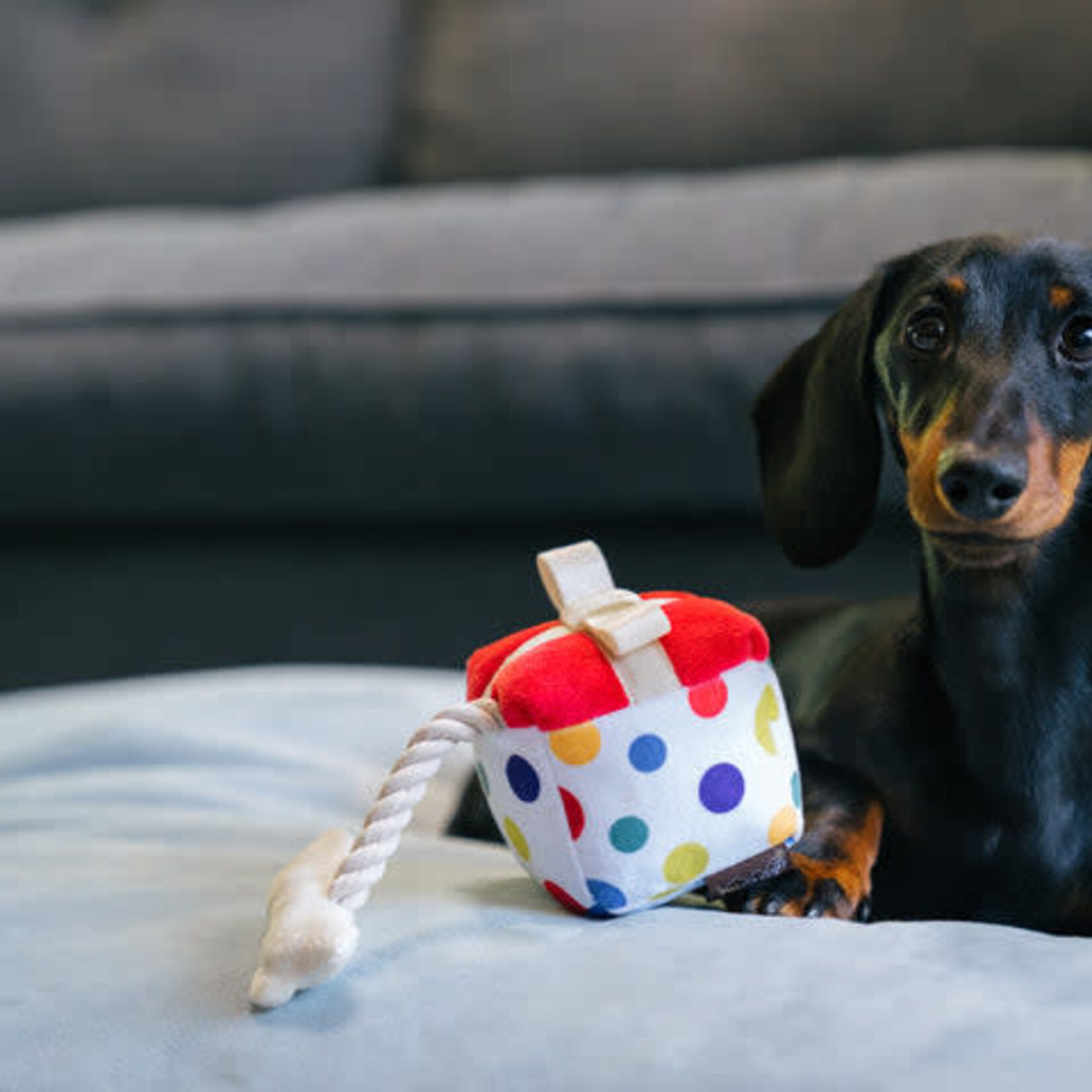 Pet P.L.A.Y - Collection Party Time - Cadeau Pawfect