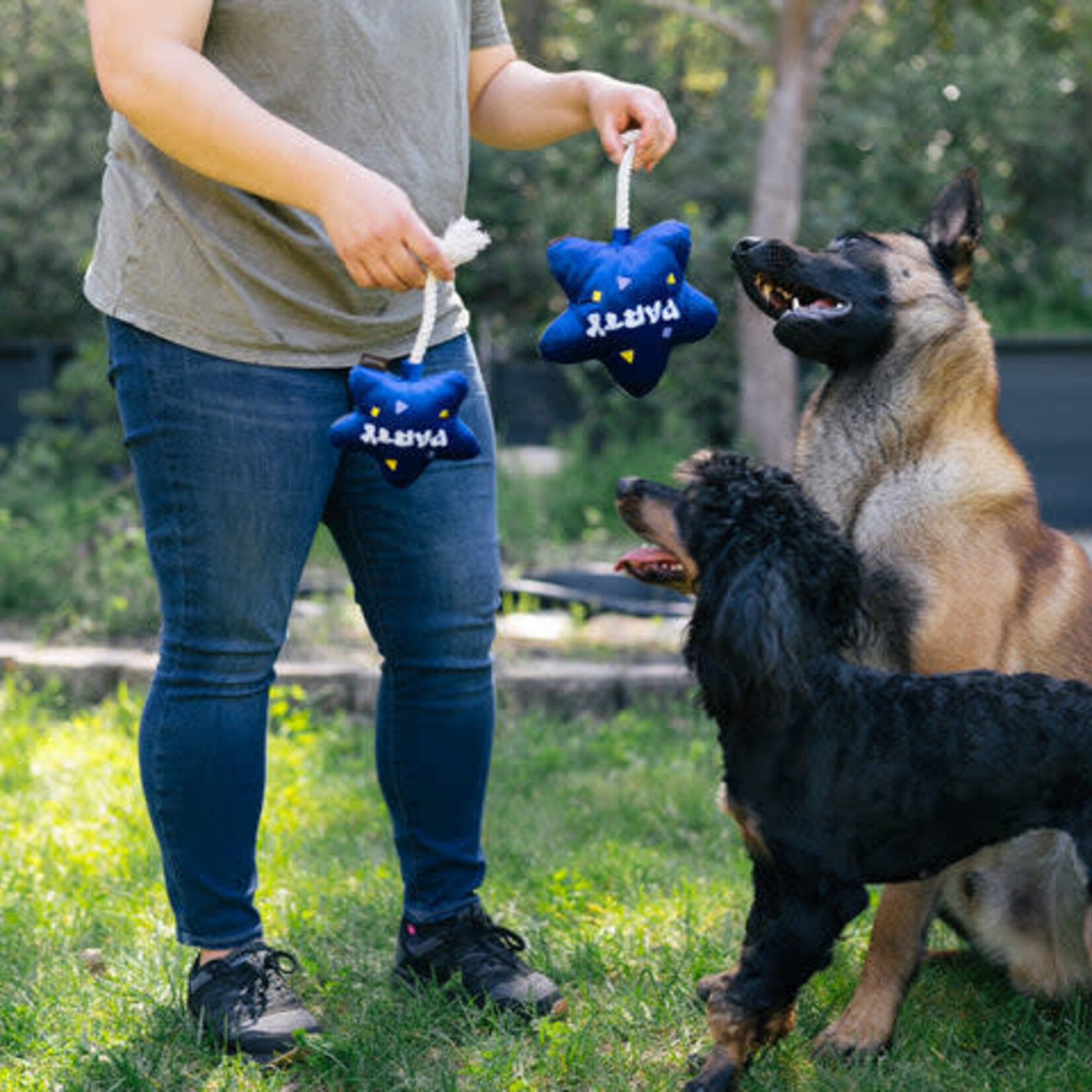 Pet P.L.A.Y - Collection Party Time – Ballon 'Best Day Ever'
