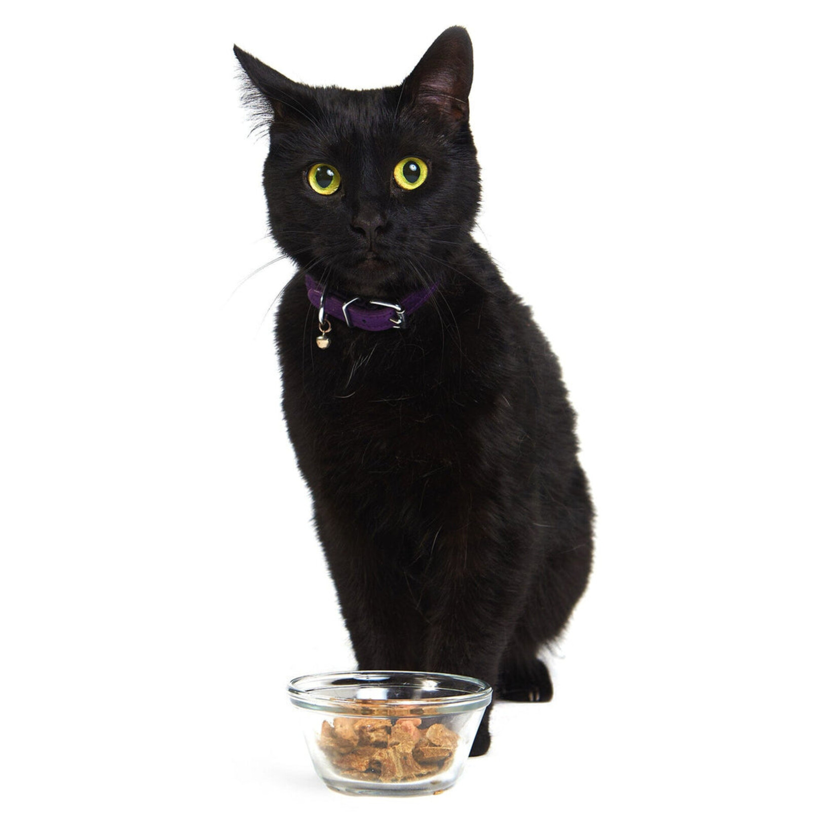 Smack Smack - Pour Chat - Porc Purrfait