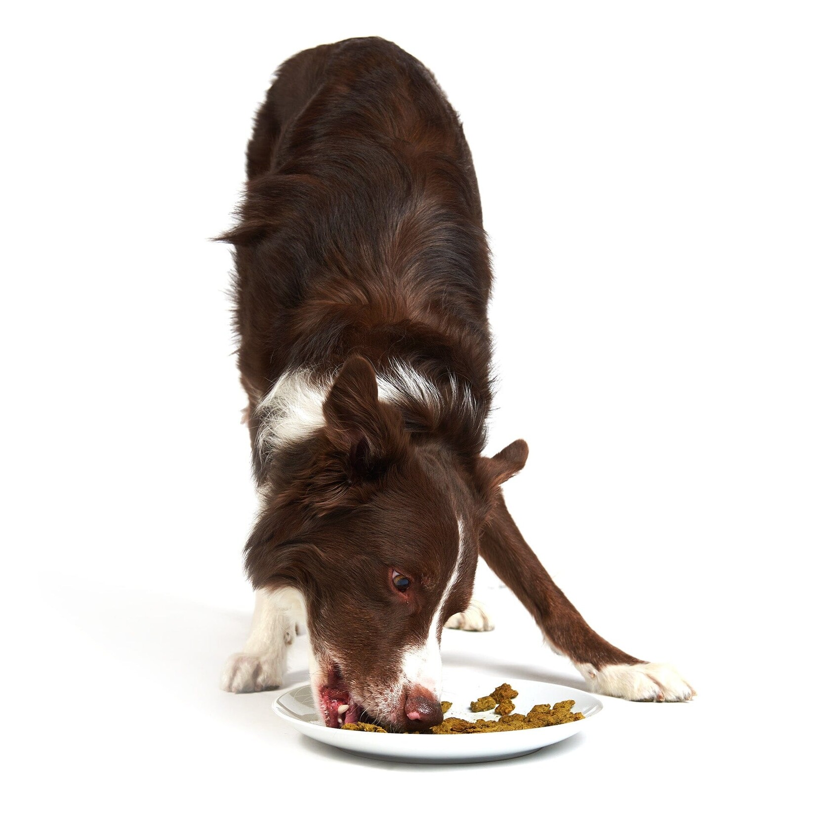 Smack Smack - Pour Chien - Poulet en morceaux