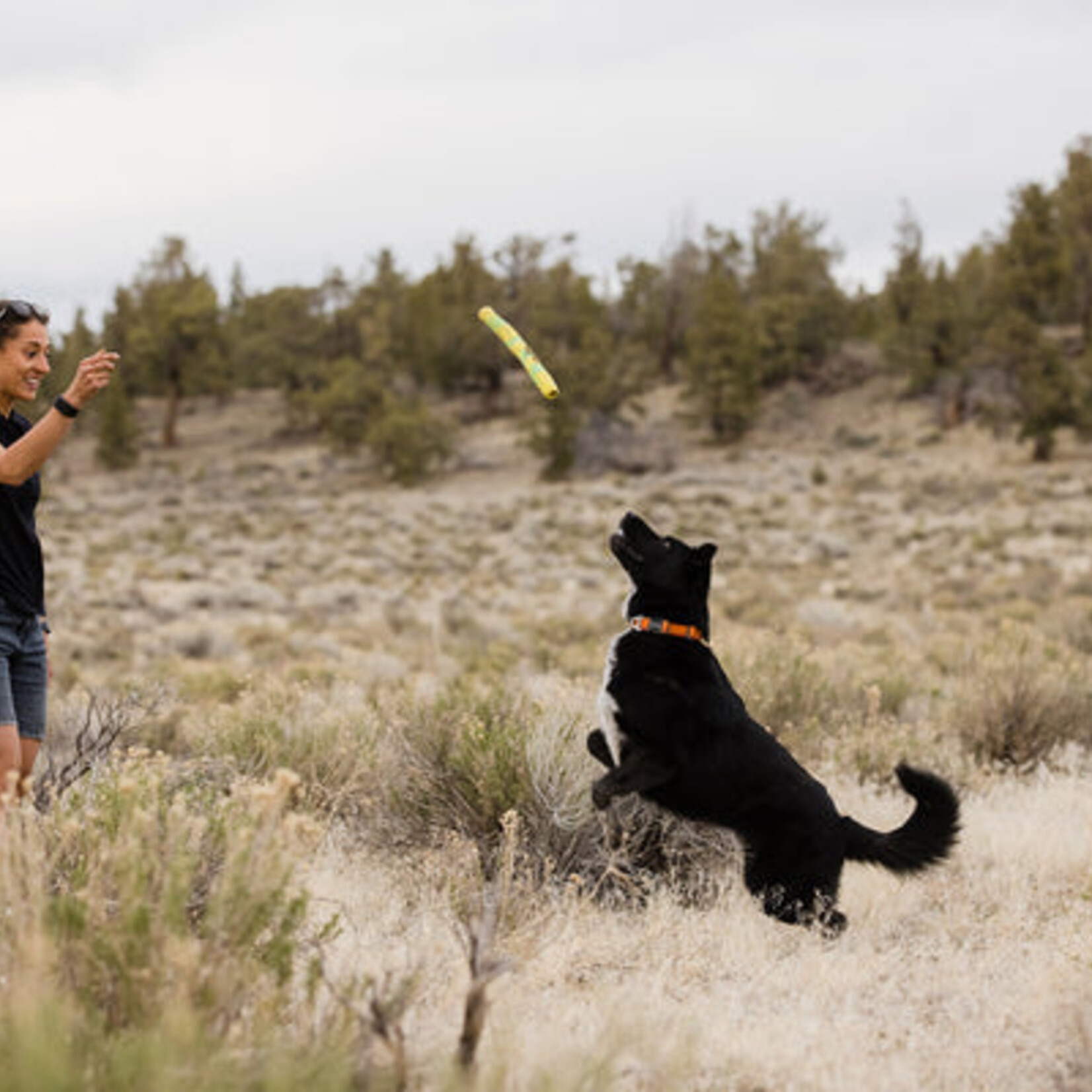 Ruffwear Ruffwear - Gnawt-a-Stick Toy - Lichen Green