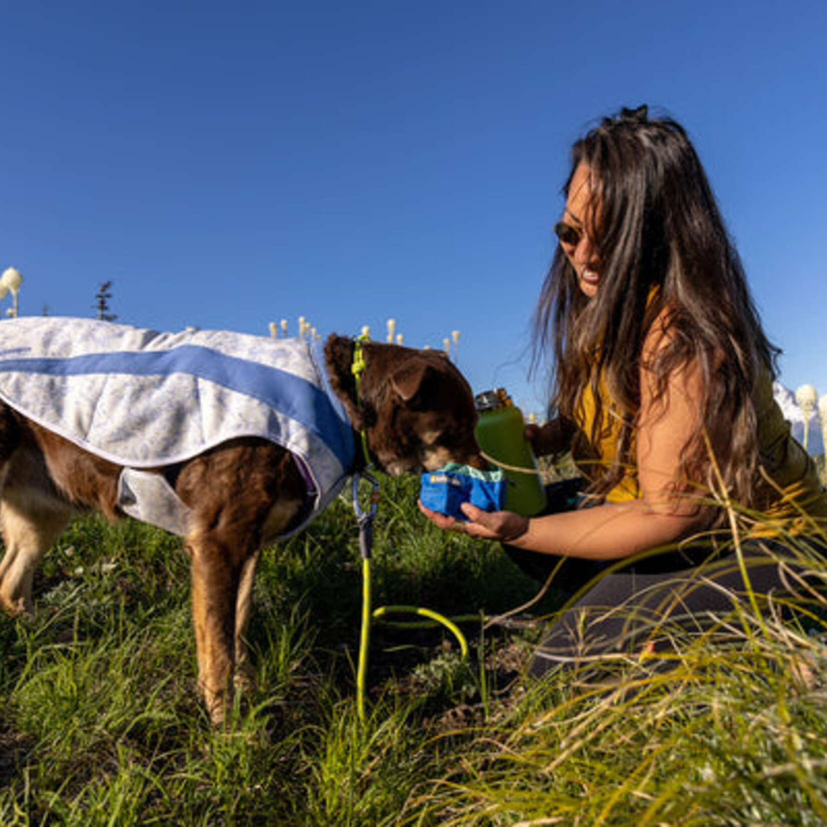 Ruffwear Ruffwear - Bol Trail Runner - Piscine Bleue