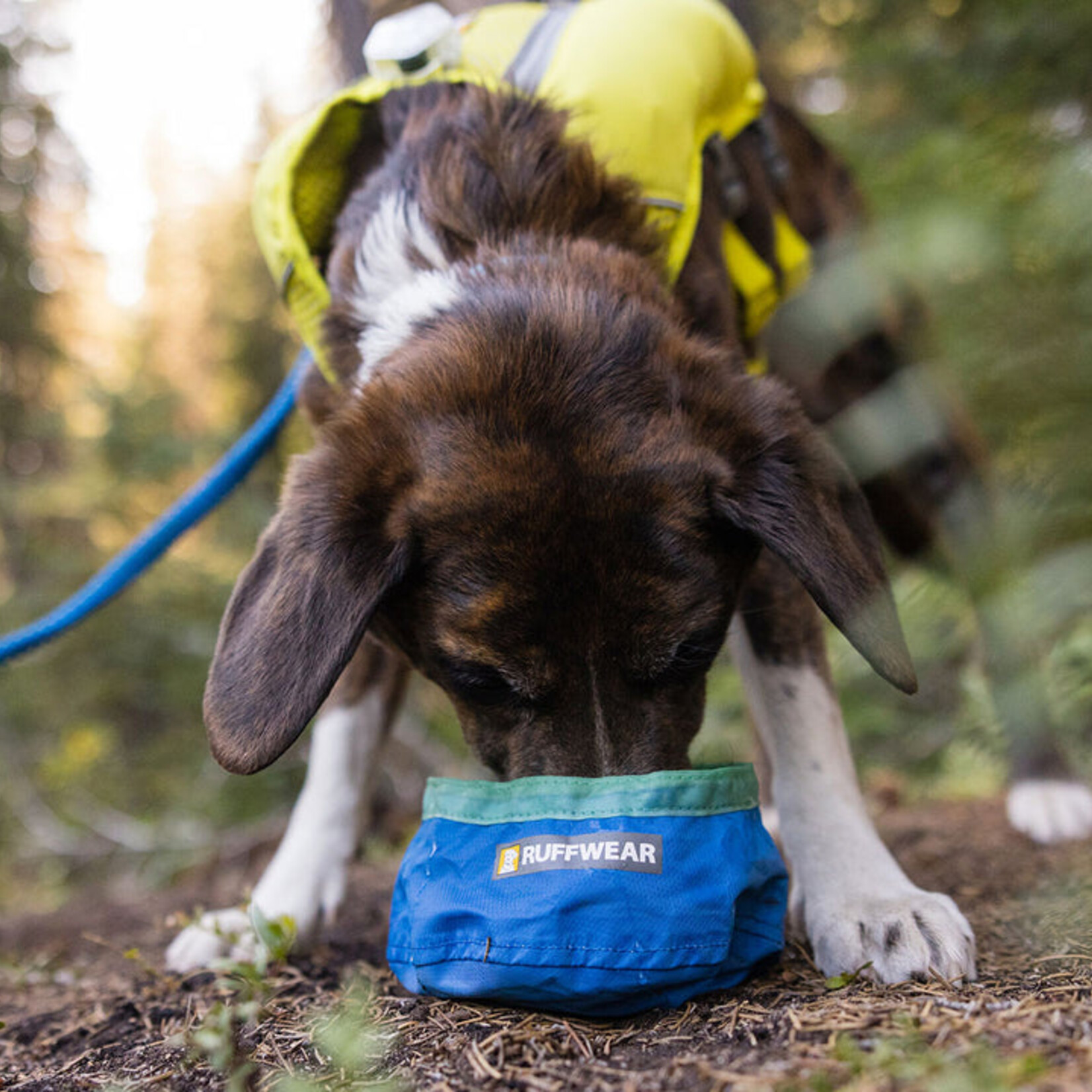 Ruffwear Ruffwear - Bol Trail Runner - Piscine Bleue