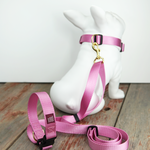 Knick Knack Paddywhack Knick Knack Paddywhack - Hands Free & Adjustable Leash - Rose