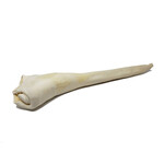 Open Range - Full Length Bull Tail