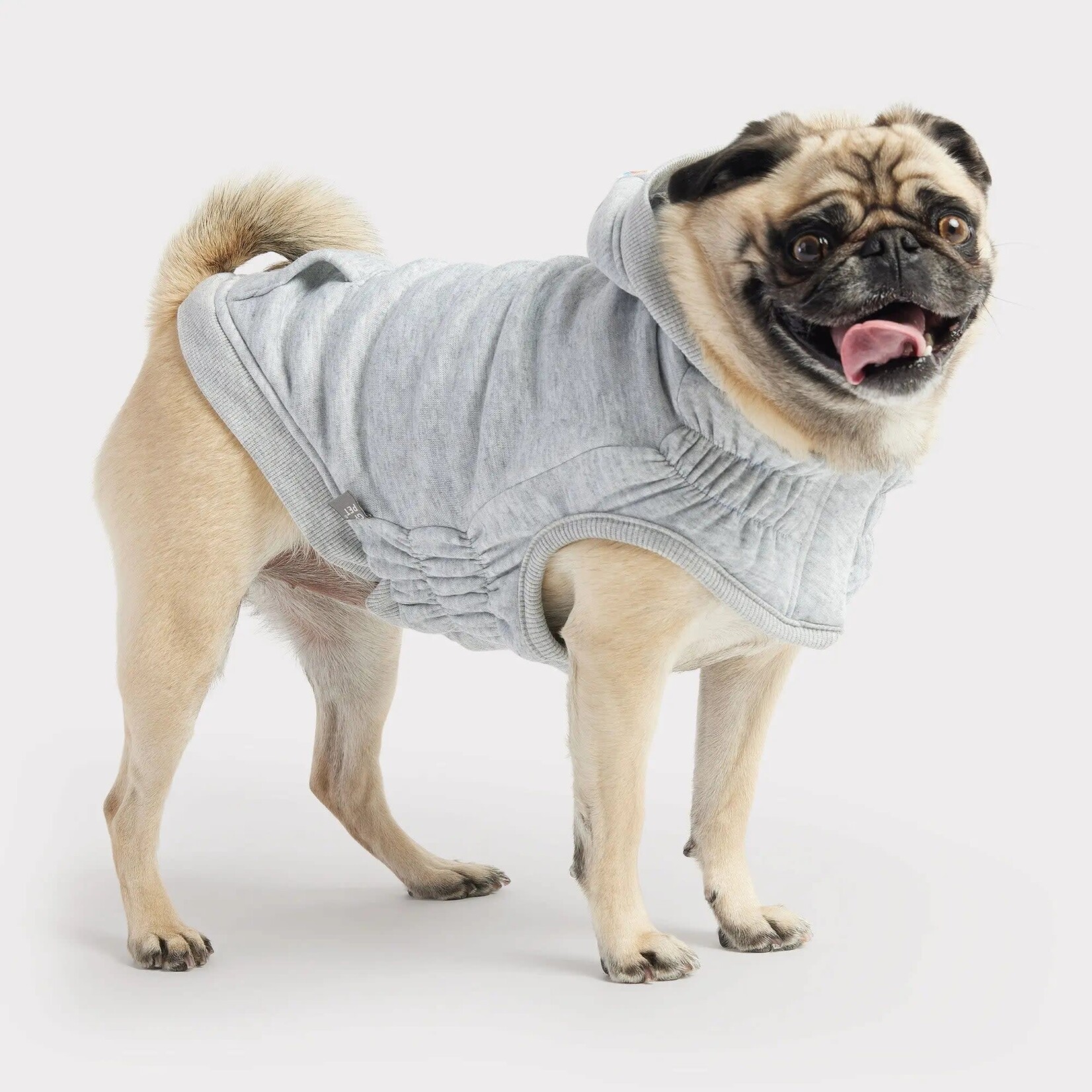 GF Pet - Urban Hoodie Sweater