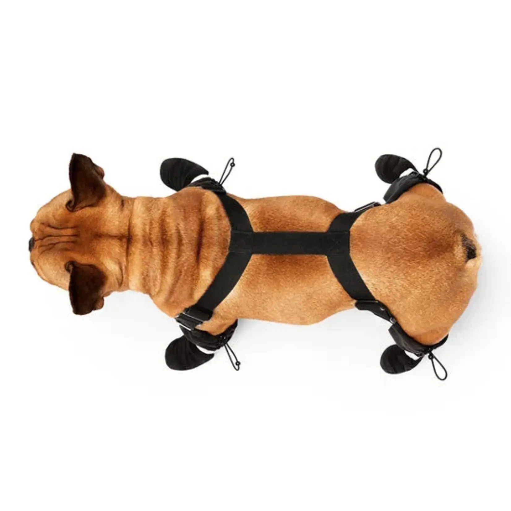 Canada Pooch - Bottes à bretelles