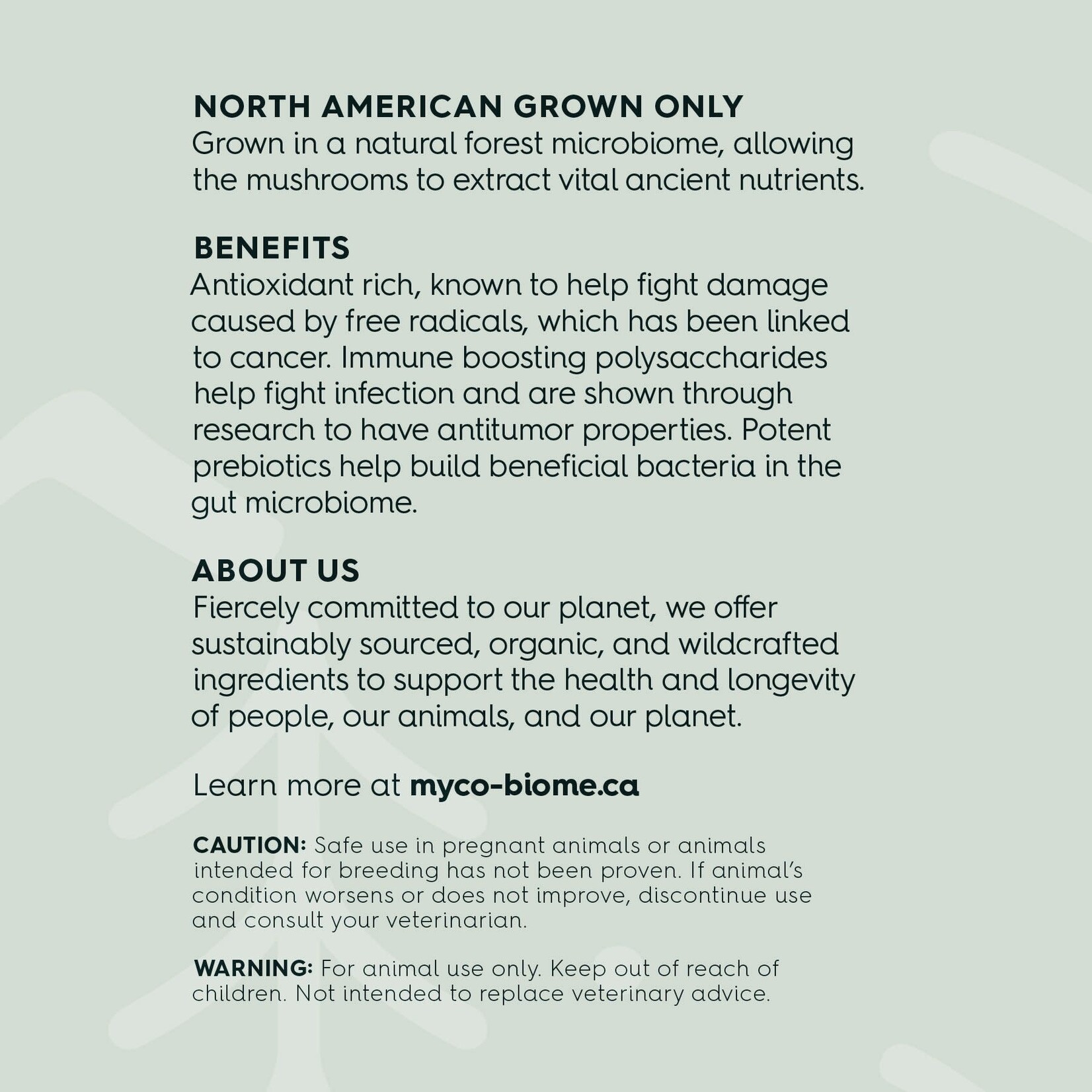 Adored Beast Apothecary Myco-Biome - Turkey Tail Mushroom Extract