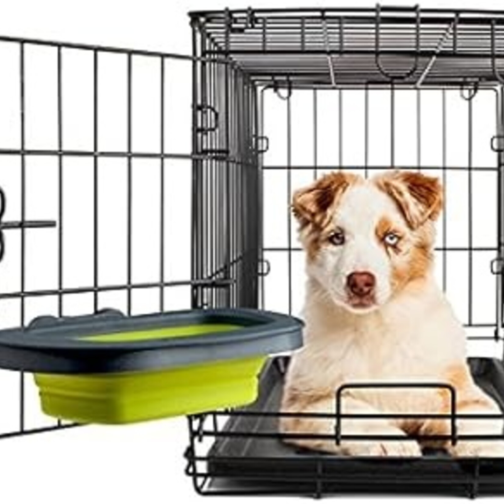 Popware - Bol de chenil pliable