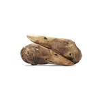 Vital Essentials - Freeze-Dried Duck Head