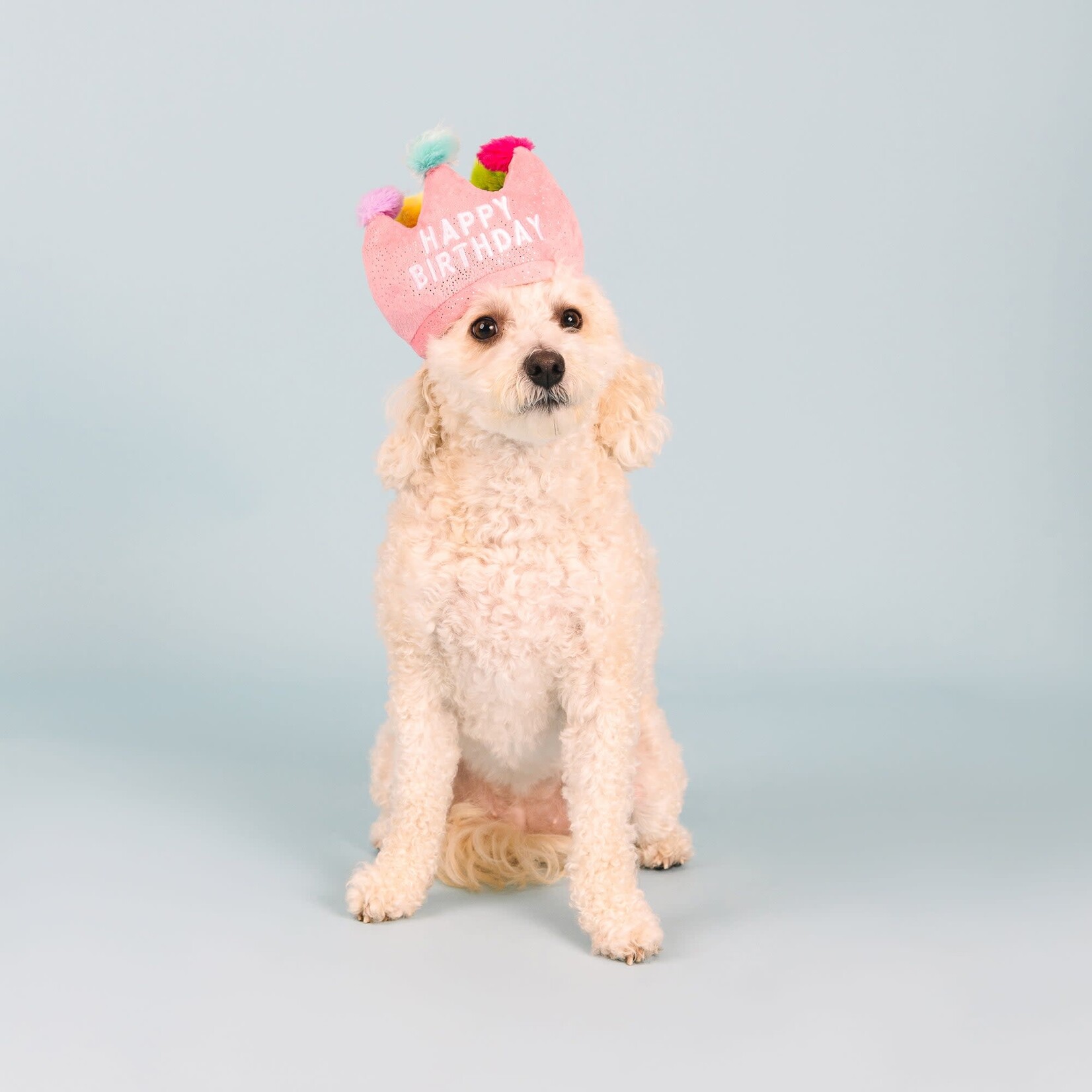 Fringe Studio - PetShop - If the Crown Fits