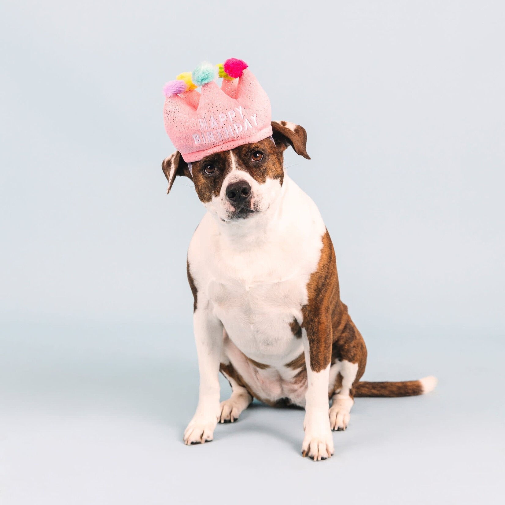 Fringe Studio - PetShop - If the Crown Fits