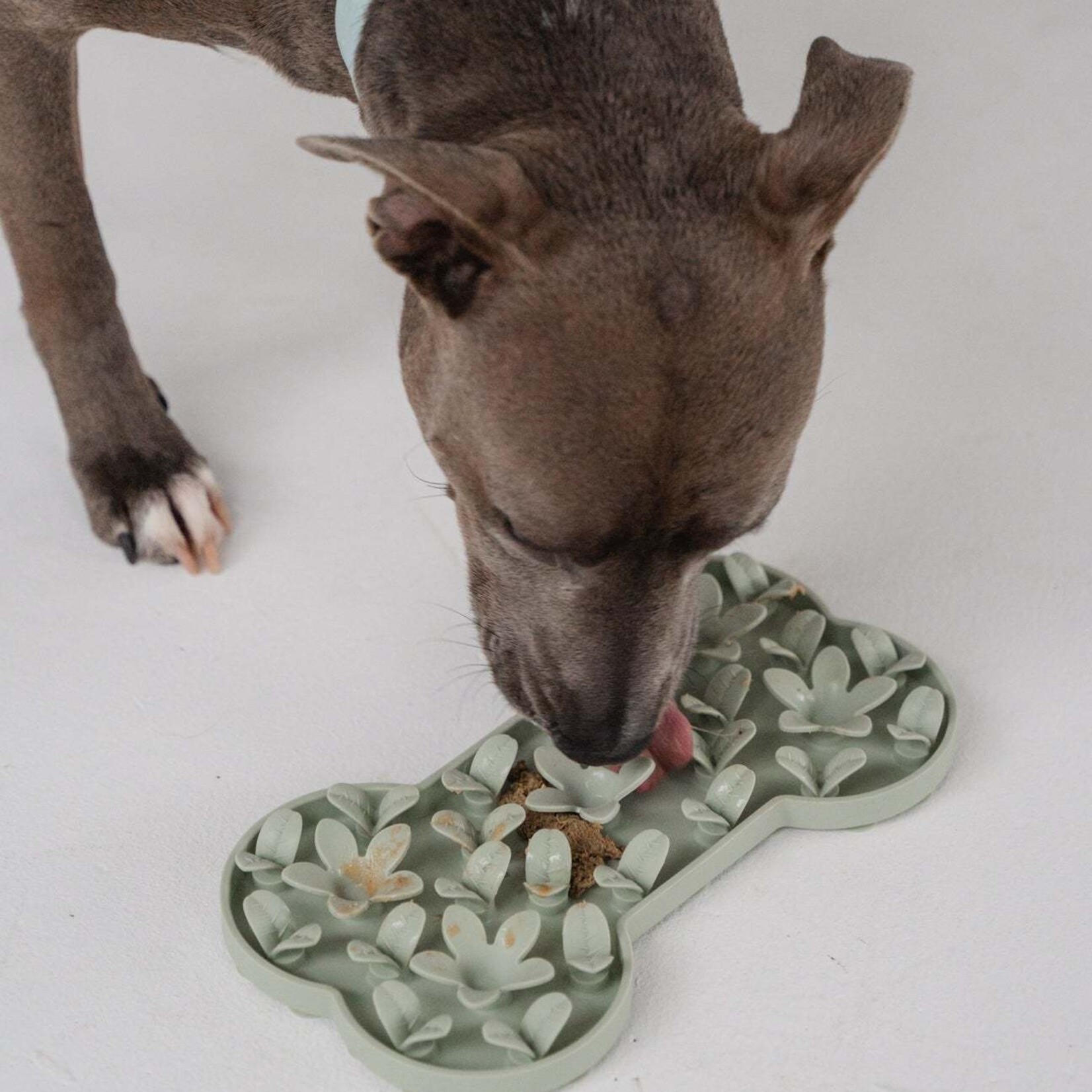 Dexypaws Dexypaws - Tapis de léchage en silicone os "cache-cache" - Vert sauge