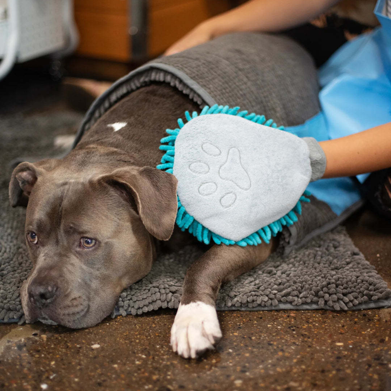 Messy Mutt - Gant de toilettage en microfibre