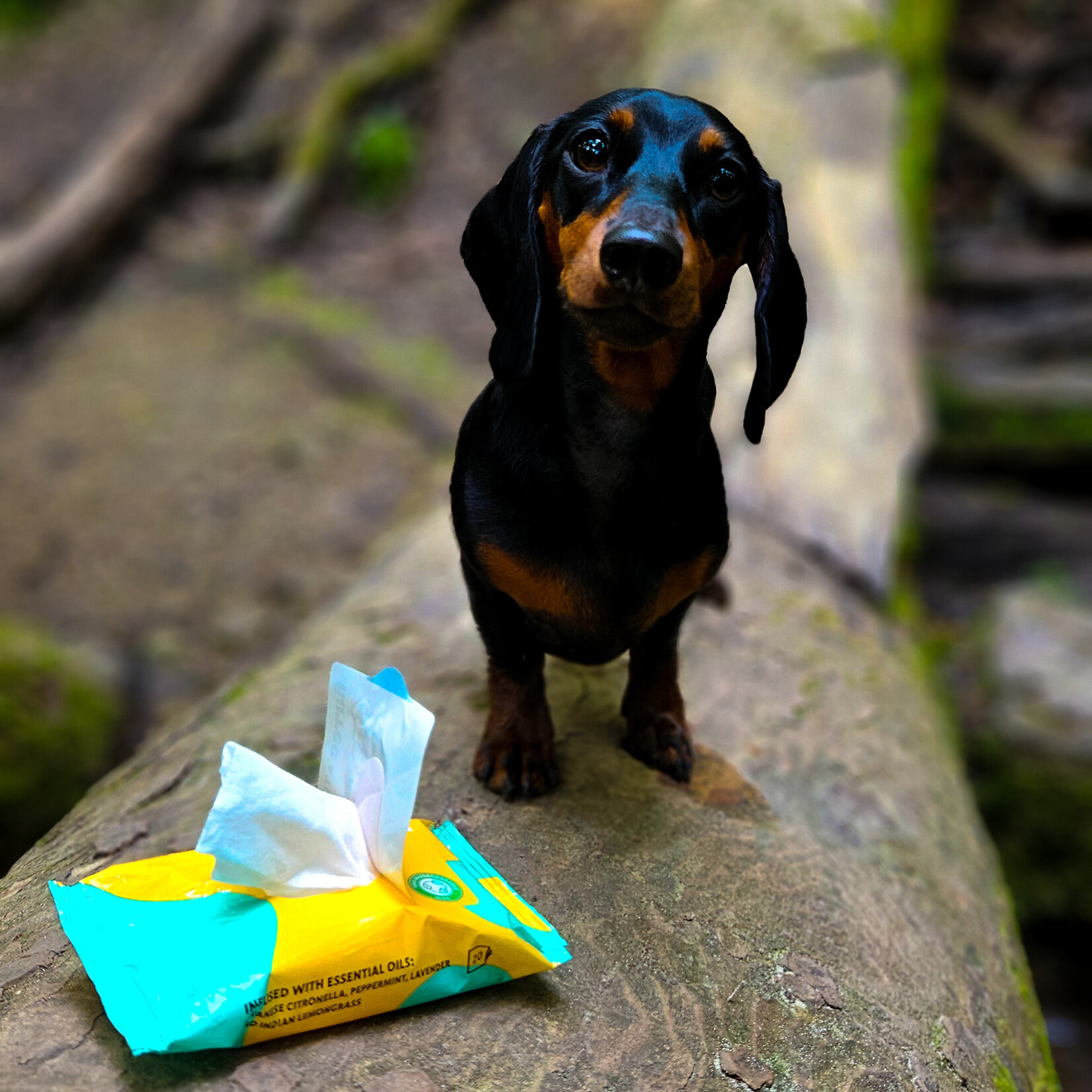 Tickless Tickless & Furree - Natural Insect Wipes