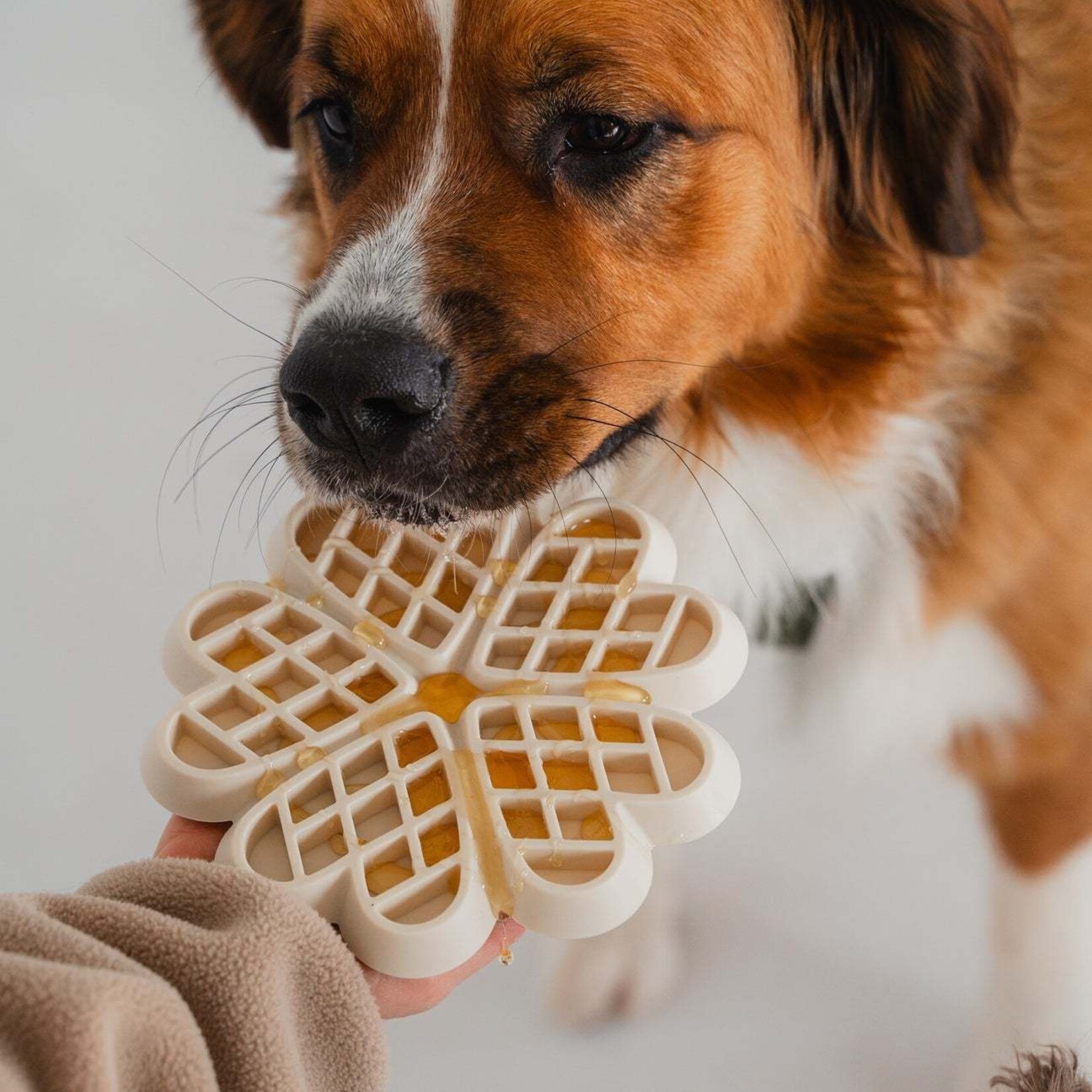Dexypaws Dexypaws - Tapis De Léchage En Silicone "cache-cache" à Alimentation Lente - Coeurs, Crème Au Beurre