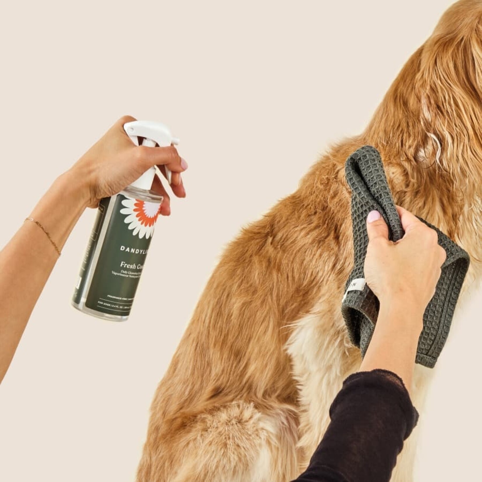 Dandylion Dandylion - Fresh Coat - Cleansing Spray | Waterless No-Rinse Shampoo - 250ml