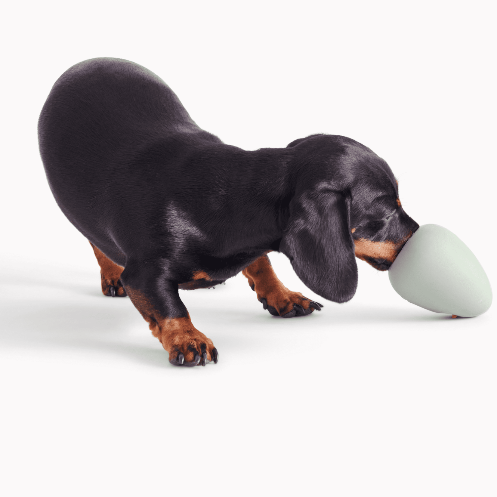 Beco Beco Pets - Boredom Buster - Green