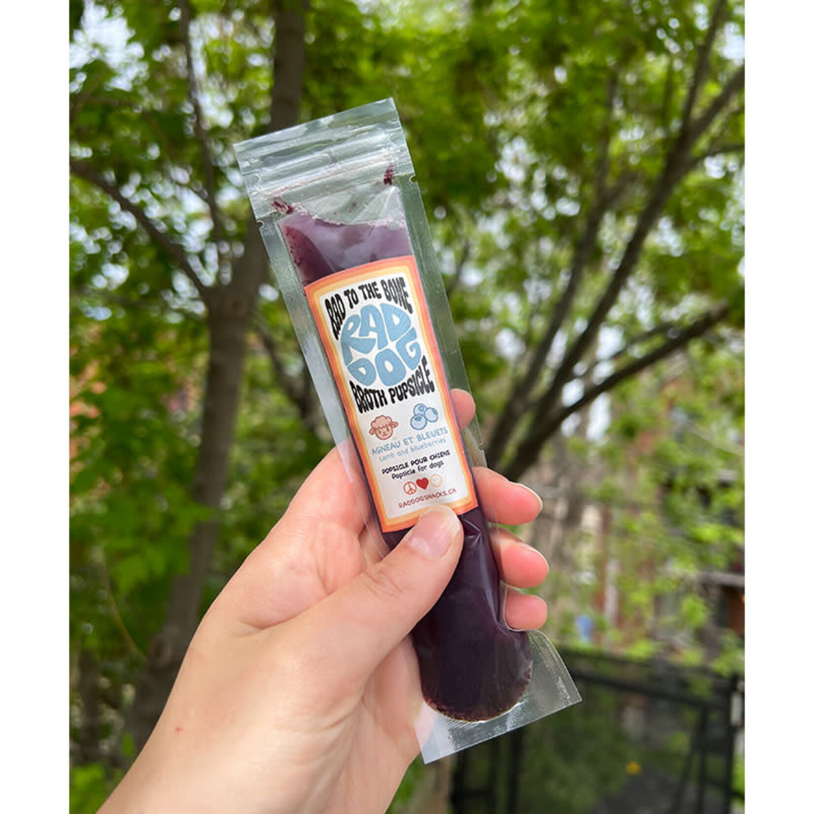 Rad Dog Rad Dog Snacks - Pupsicle - Lamb & Blueberry