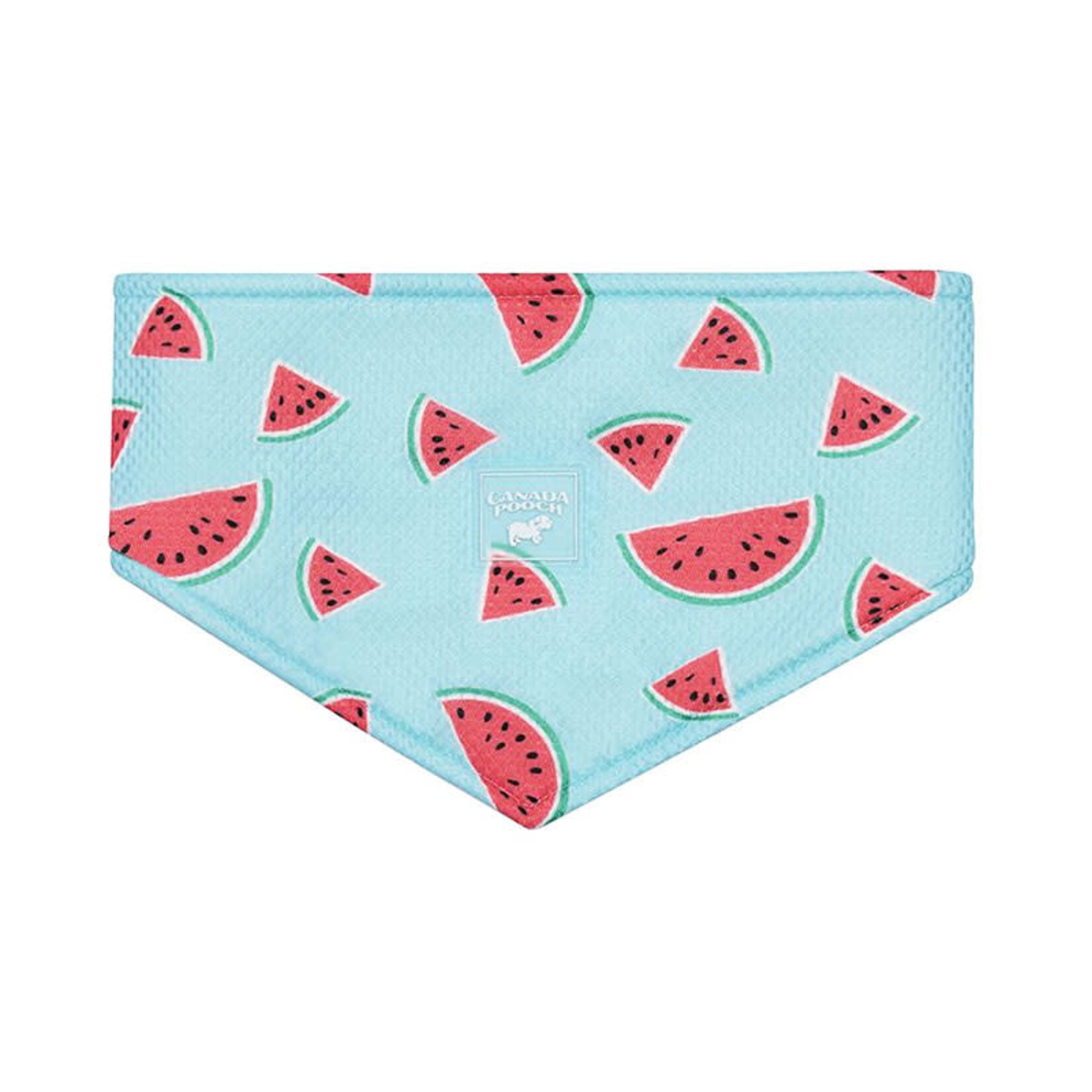 Canada Pooch - Chill Seeker Cooling Bandana - Watermelon - Large